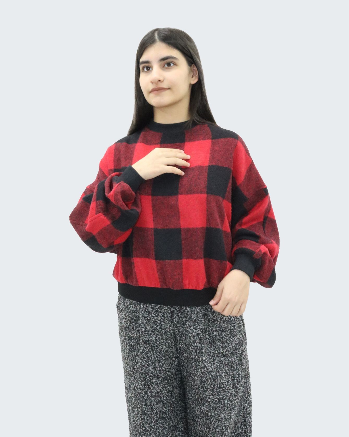 Sweatshirt / Lumberjack Fabric / Plaid Check