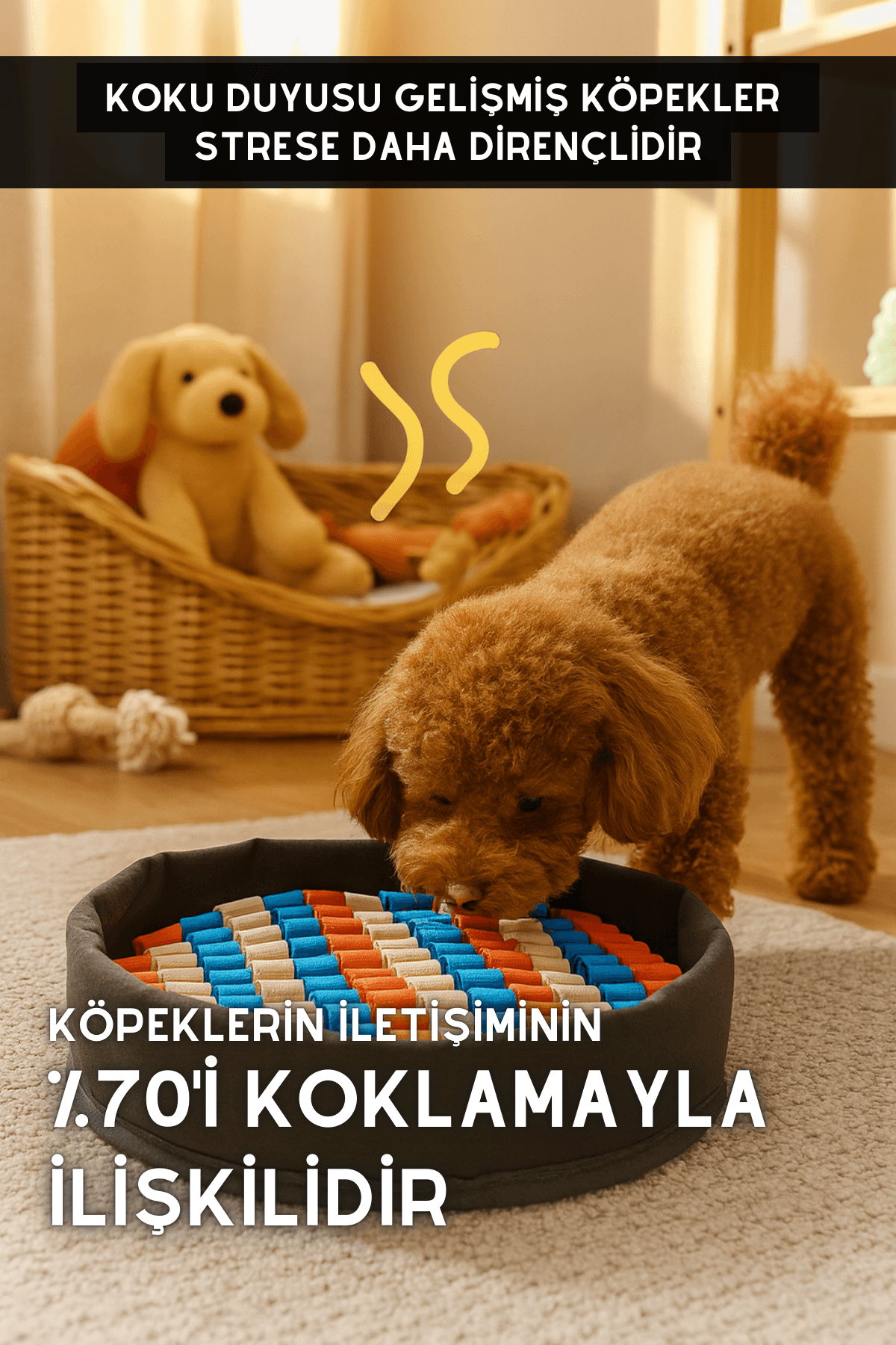 Bulyut (35 CM) - Köpek Koku Eğitim Matı, Bulma, Koklama ve Yavaş Yeme Oyuncağı, Kaymaz Taban