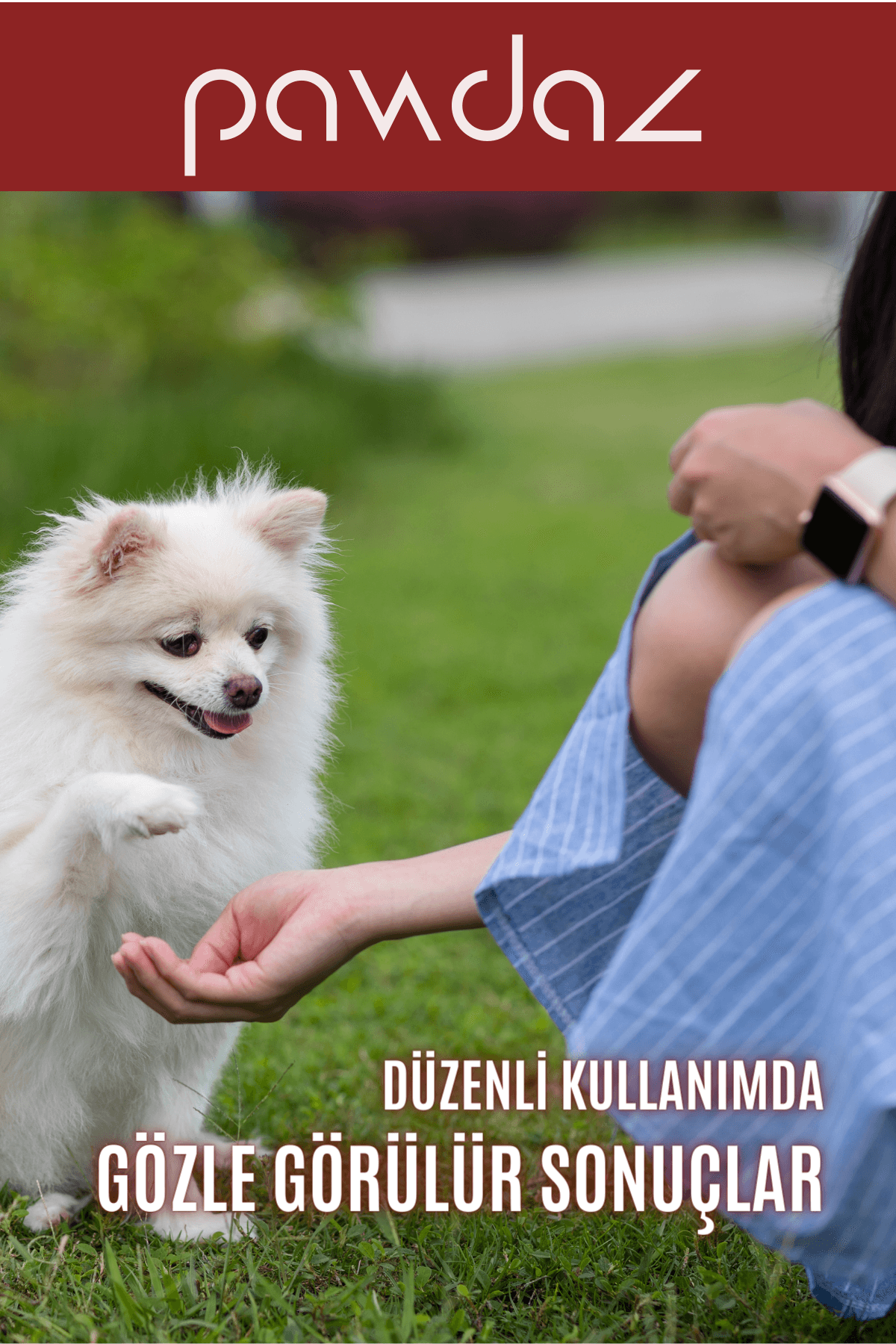 DermaDrop - Deri ve tüy sağlığını destekleyen damla (Biotin, Çinko, B Vitaminleri) Köpek