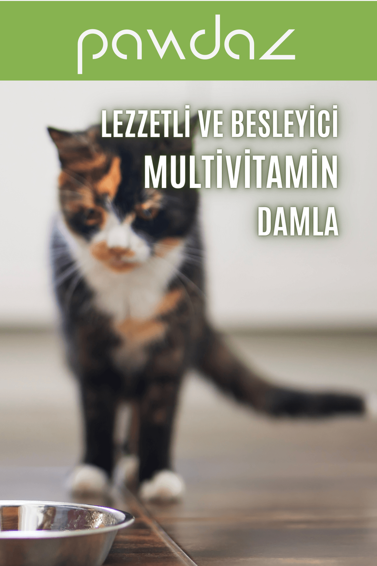 DermaDrop - Deri ve tüy sağlığını destekleyen damla (Biotin, Çinko, B Vitaminleri) Kedi