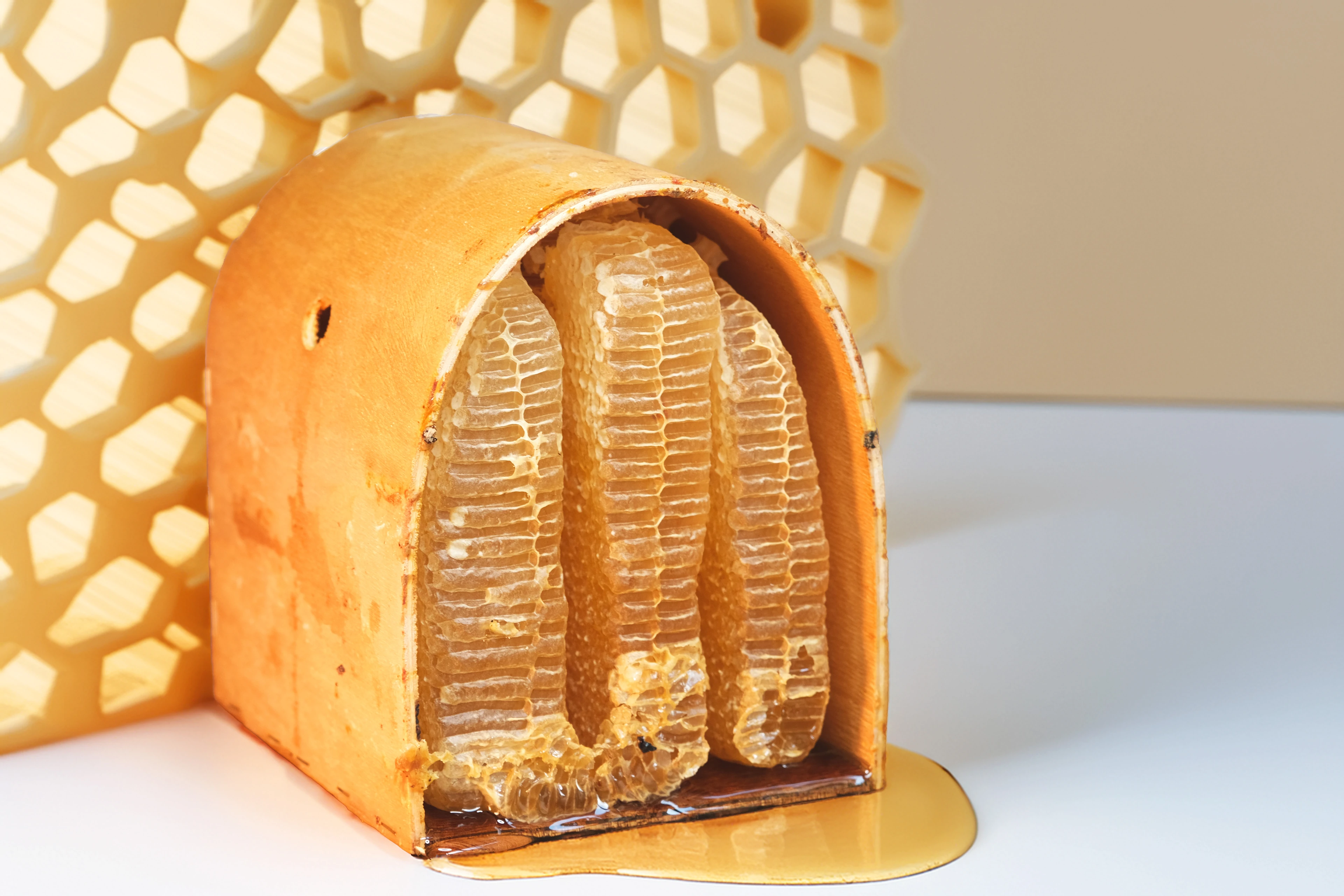 POERA Tünel Tipi Karakovan Balı