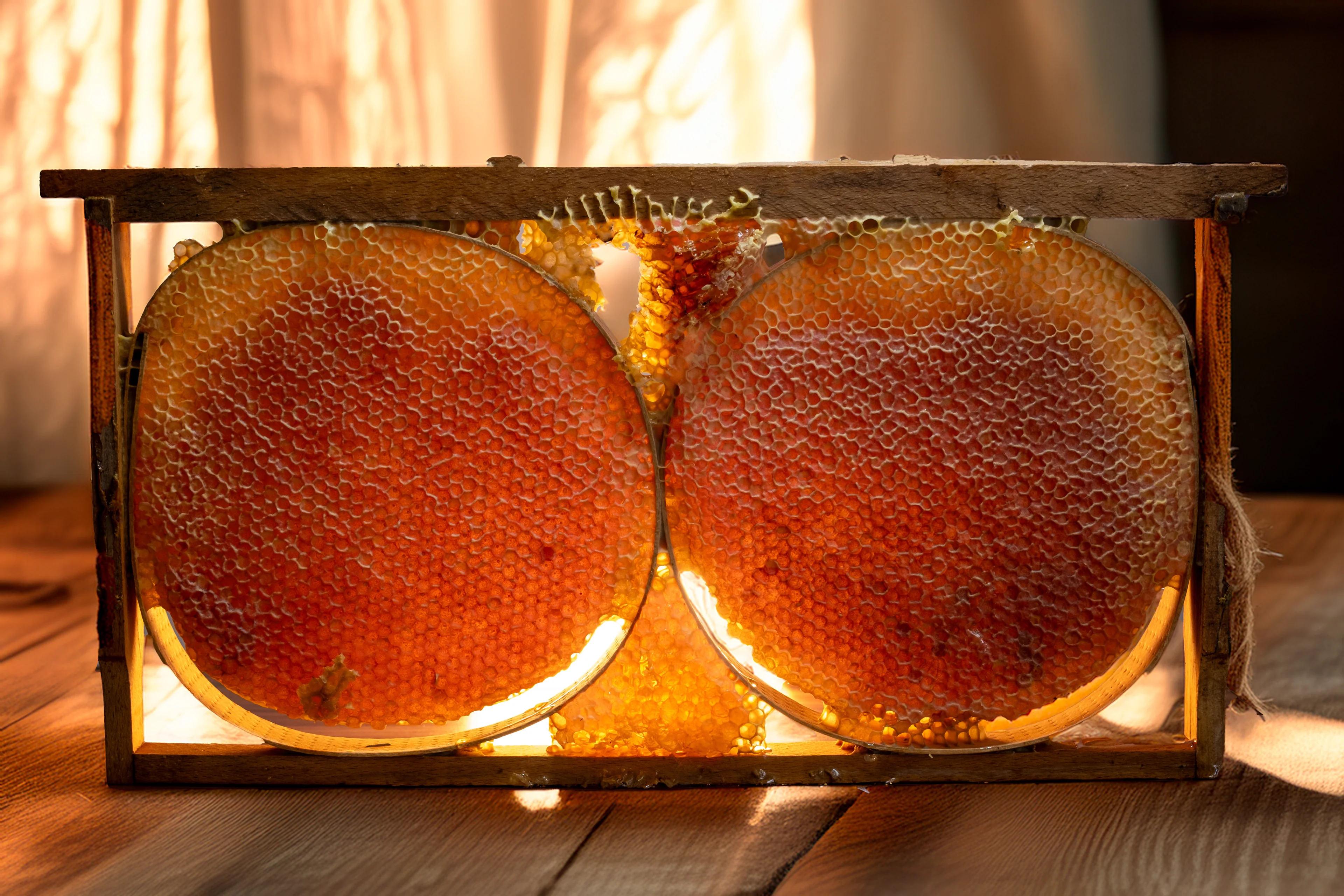 POERA Karakovan Balı