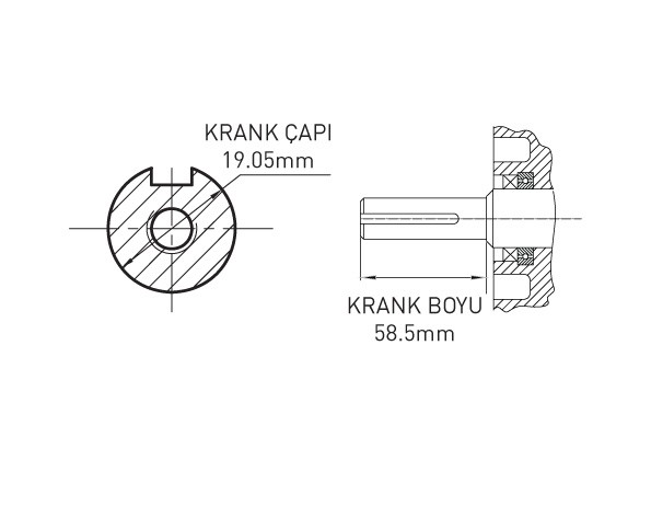 Benzinli Motor 7 Hp