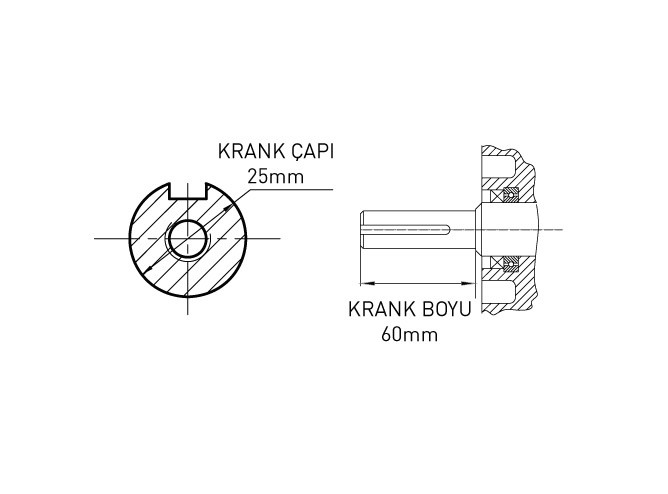 Benzinli Motor 16 Hp