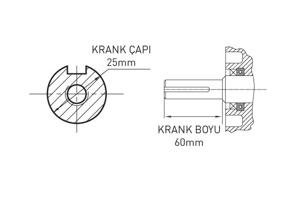 Benzinli Motor 16 Hp