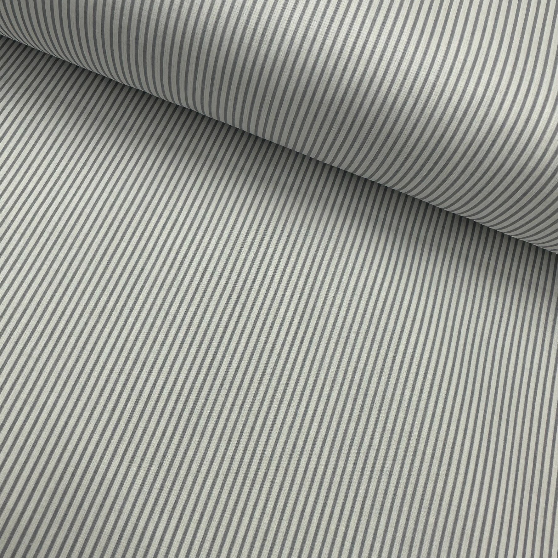 Rank Lines Poplin Fabric