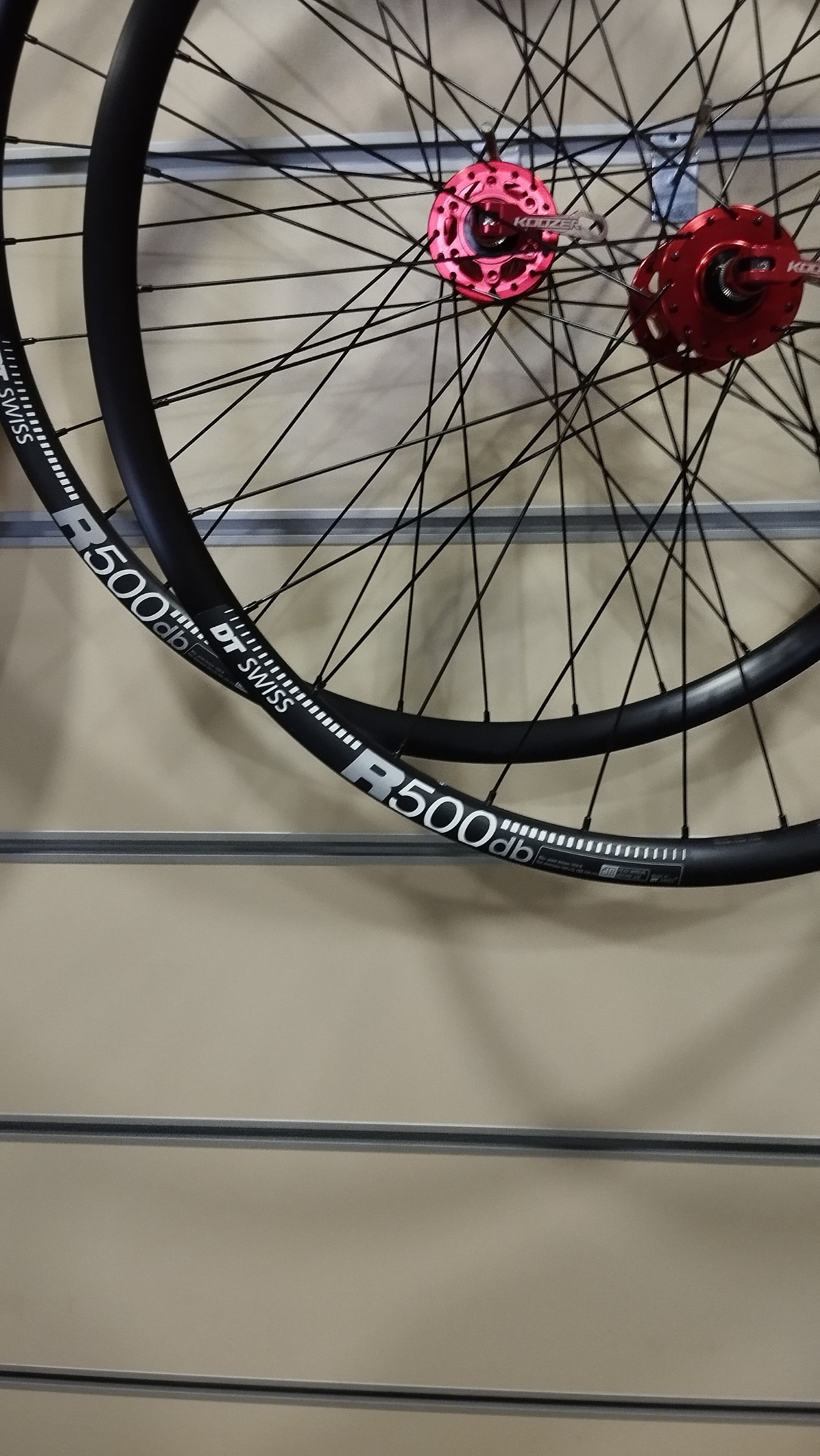 dt swiss r500 db