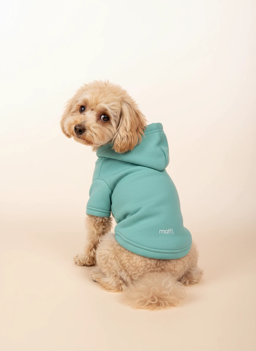 Moffi Cozy Hoodie - Su Yeşili