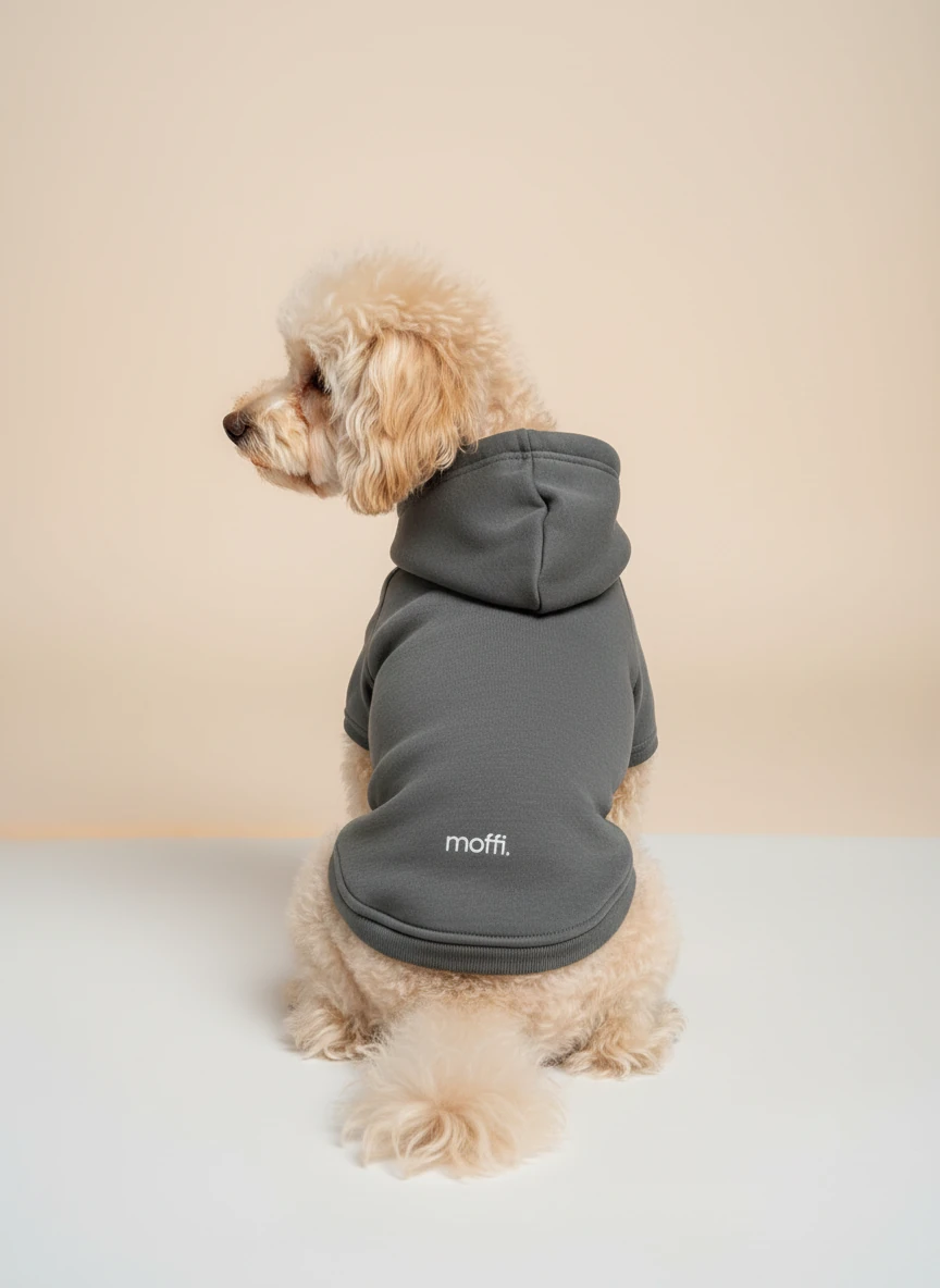 Moffi Cozy Hoodie - Füme