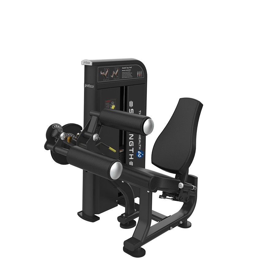 EX 12 - SEATED LEG CURL