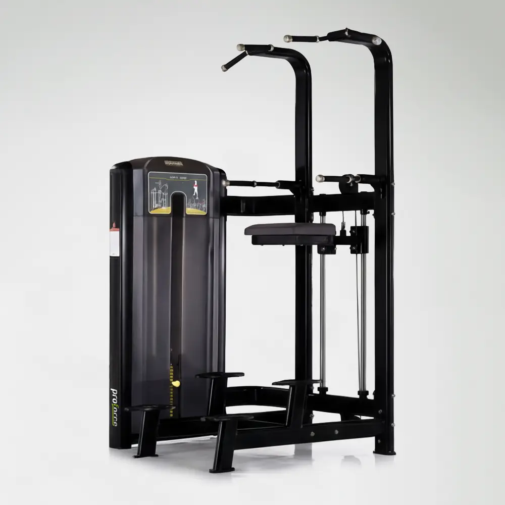 LUX 08 - UPPER LIMBS MACHINE