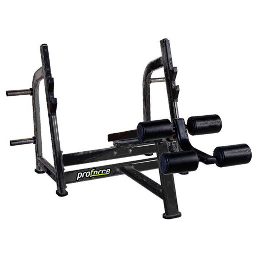 BS 02 - DECLINE BENCH PRESS