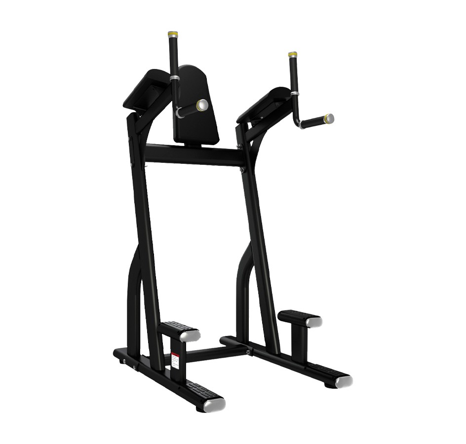 BS 10 - VERTICAL KNEE RAISE