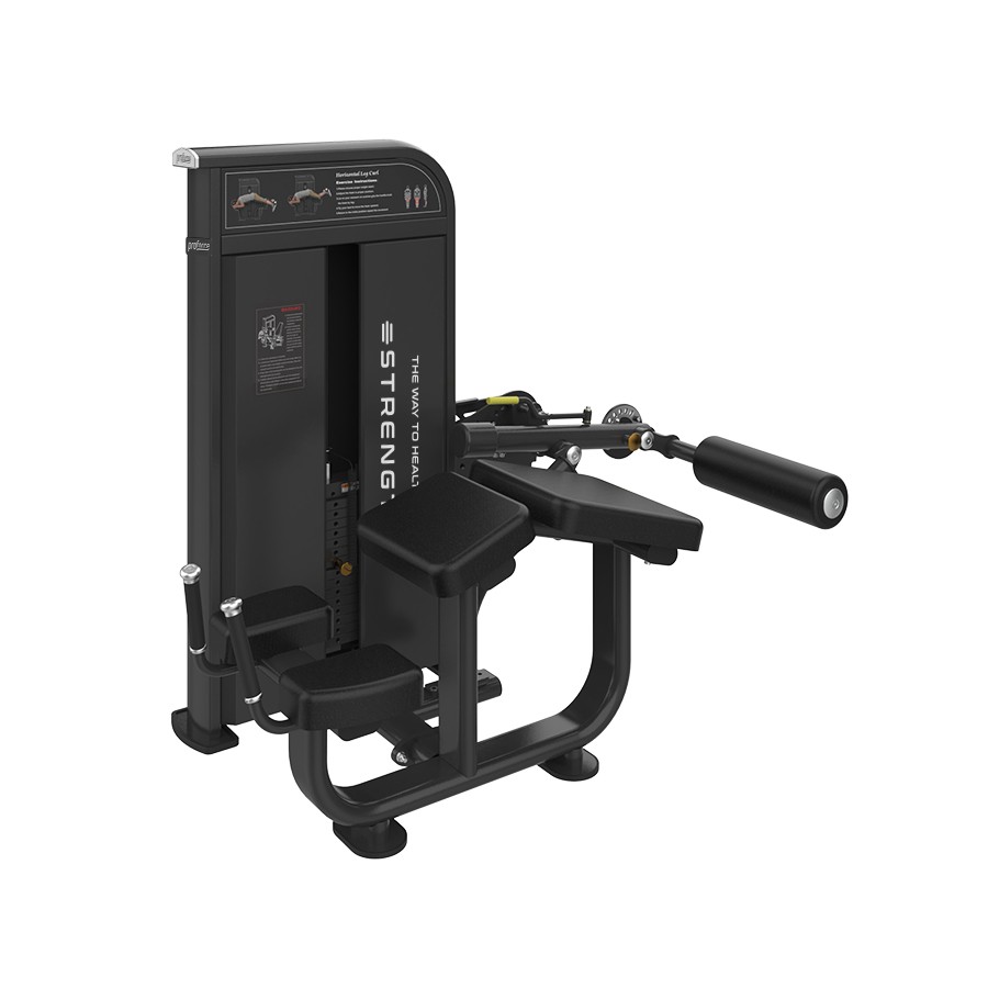 EX 10 - HORIZONTAL LEG CURL