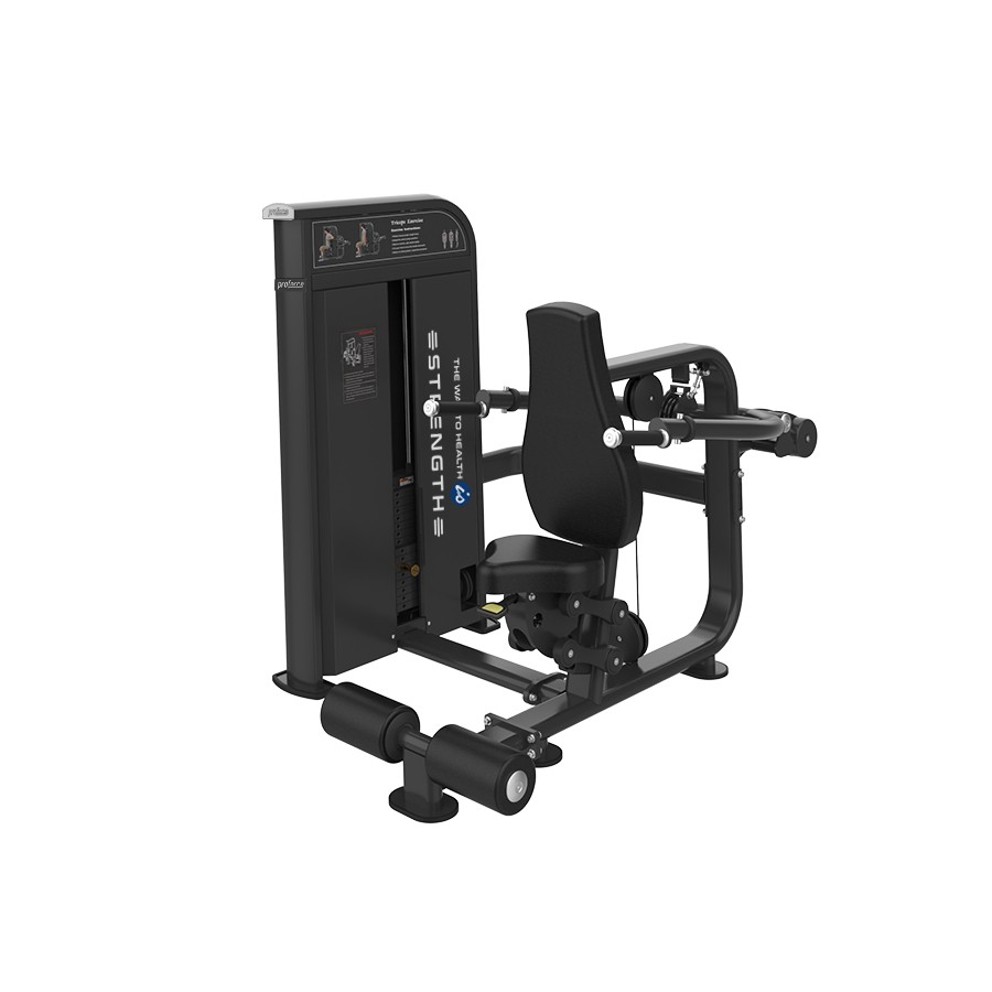 EX 09 - TRICEPS PRESS