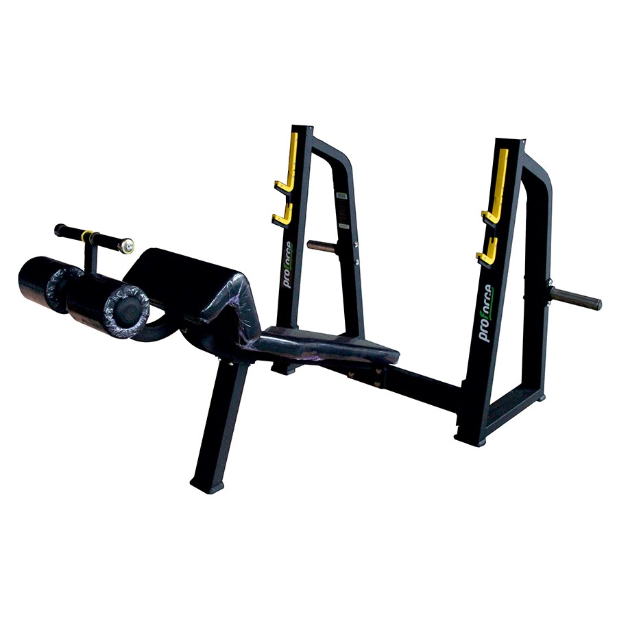 KS 02 - DECLINE BENCH PRESS