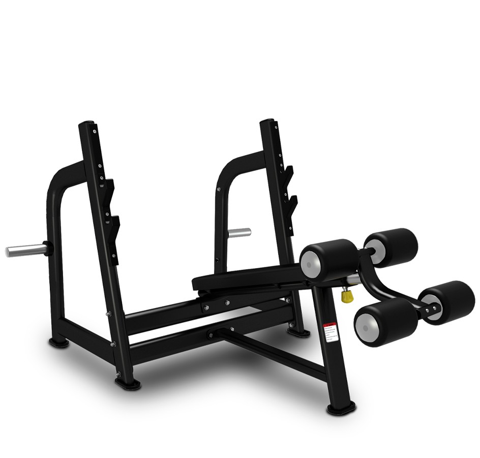 BS 02 - DECLINE BENCH PRESS