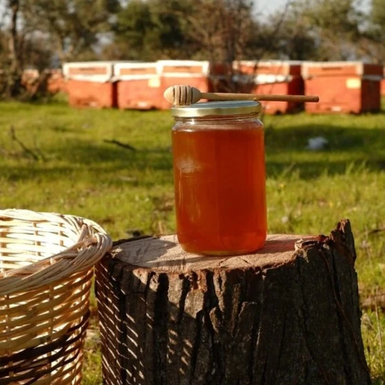 Çiçek Balı (850gr)  (Katkısız Ham Bal)