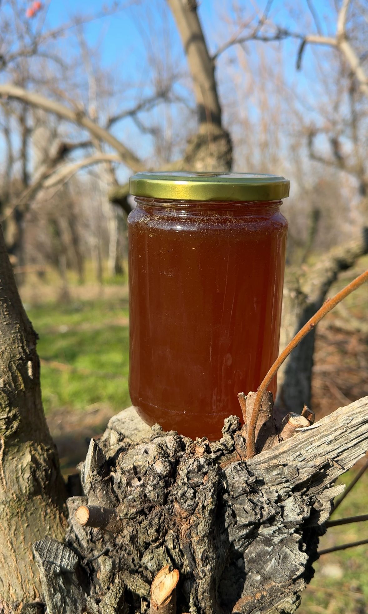 Yayla Balı (SINIRLI STOK)