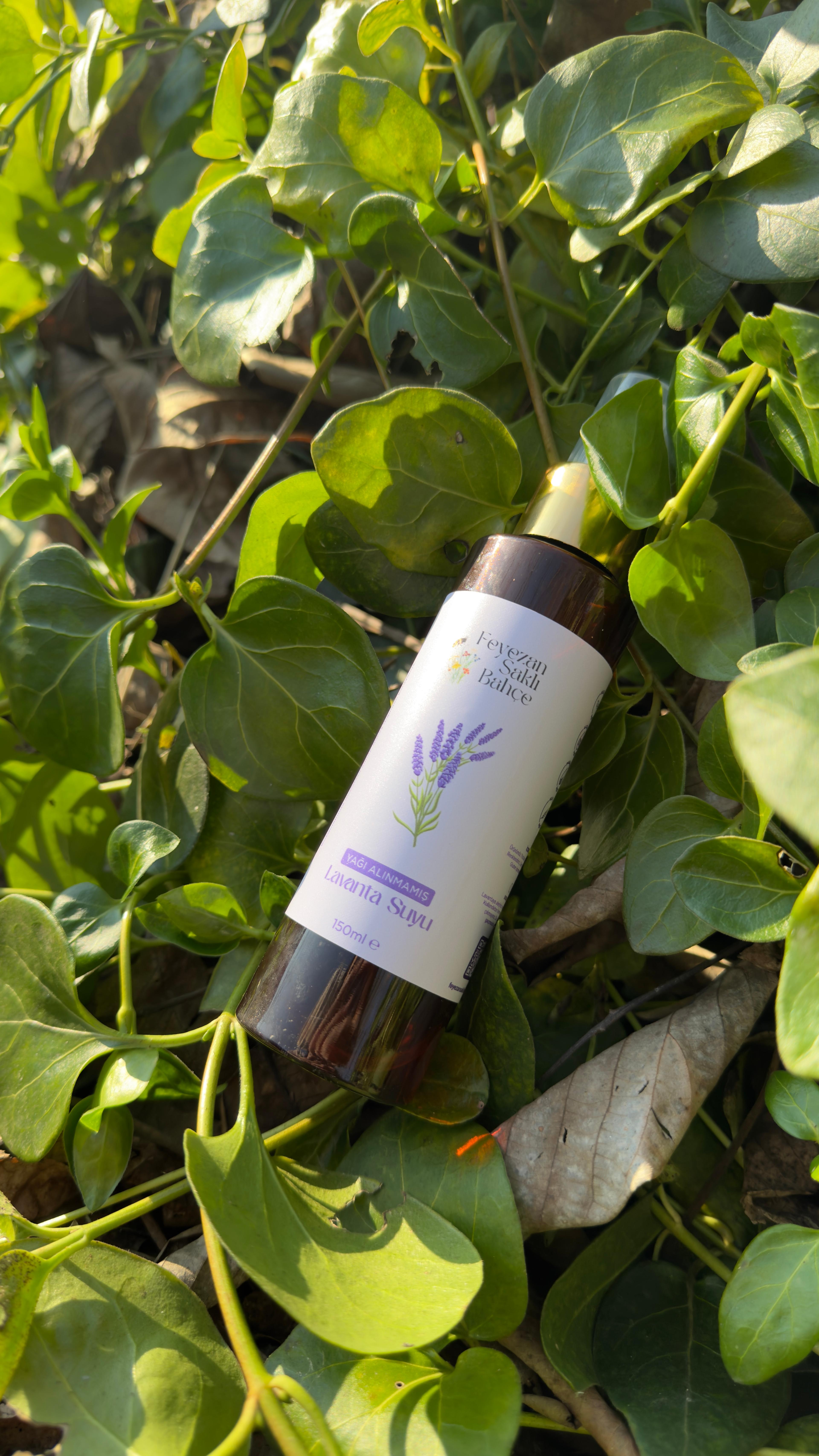 Yağı Alınmamış Lavanta Suyu 150ml