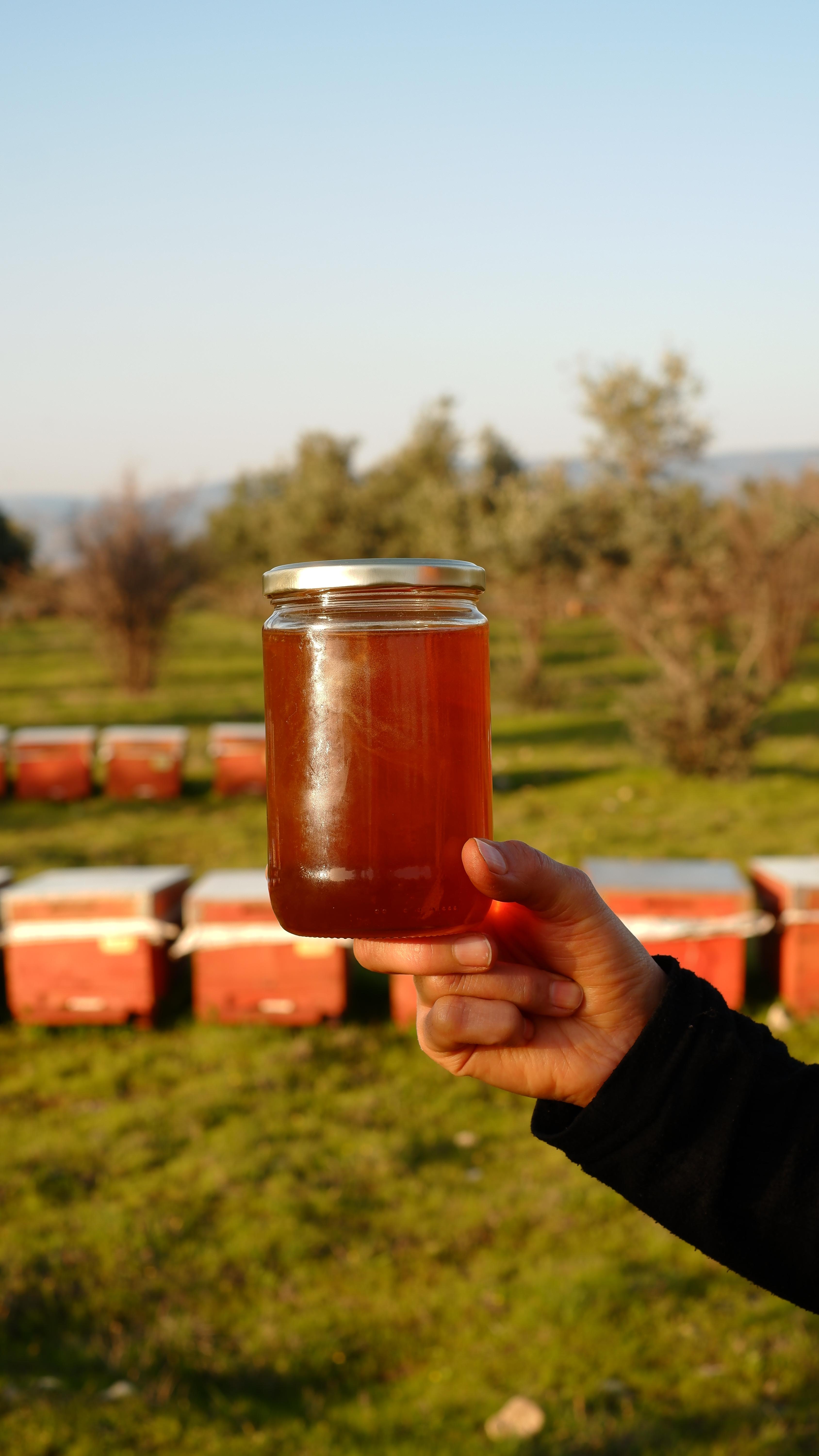 Saf Çam Balı 850gr