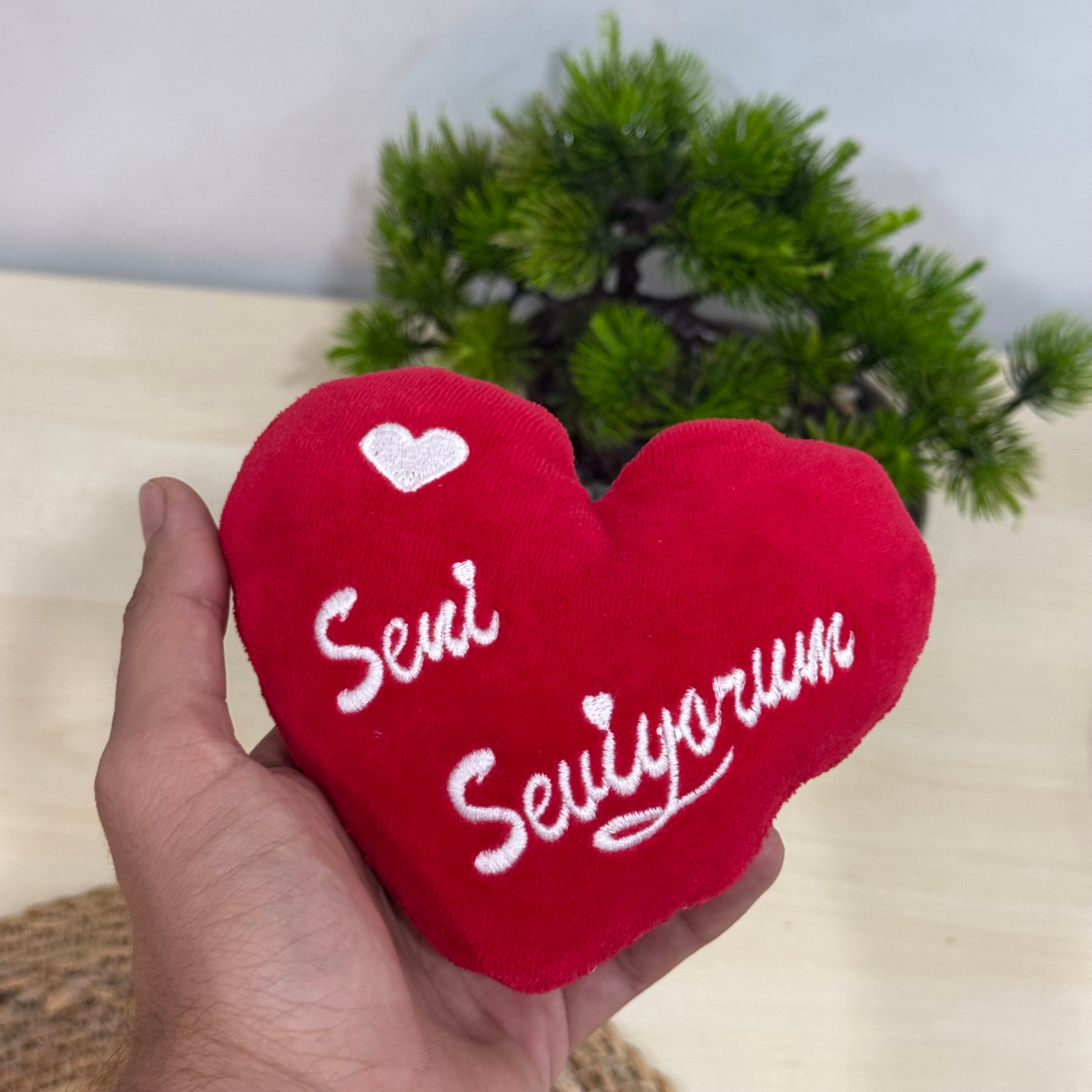 I Love You Seti