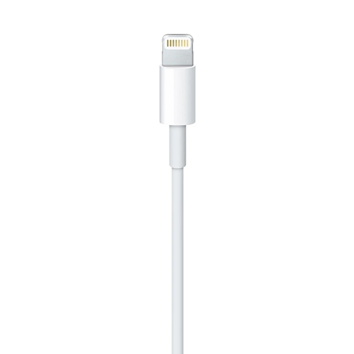 Apple Lightning To Usb Kablo 2 M