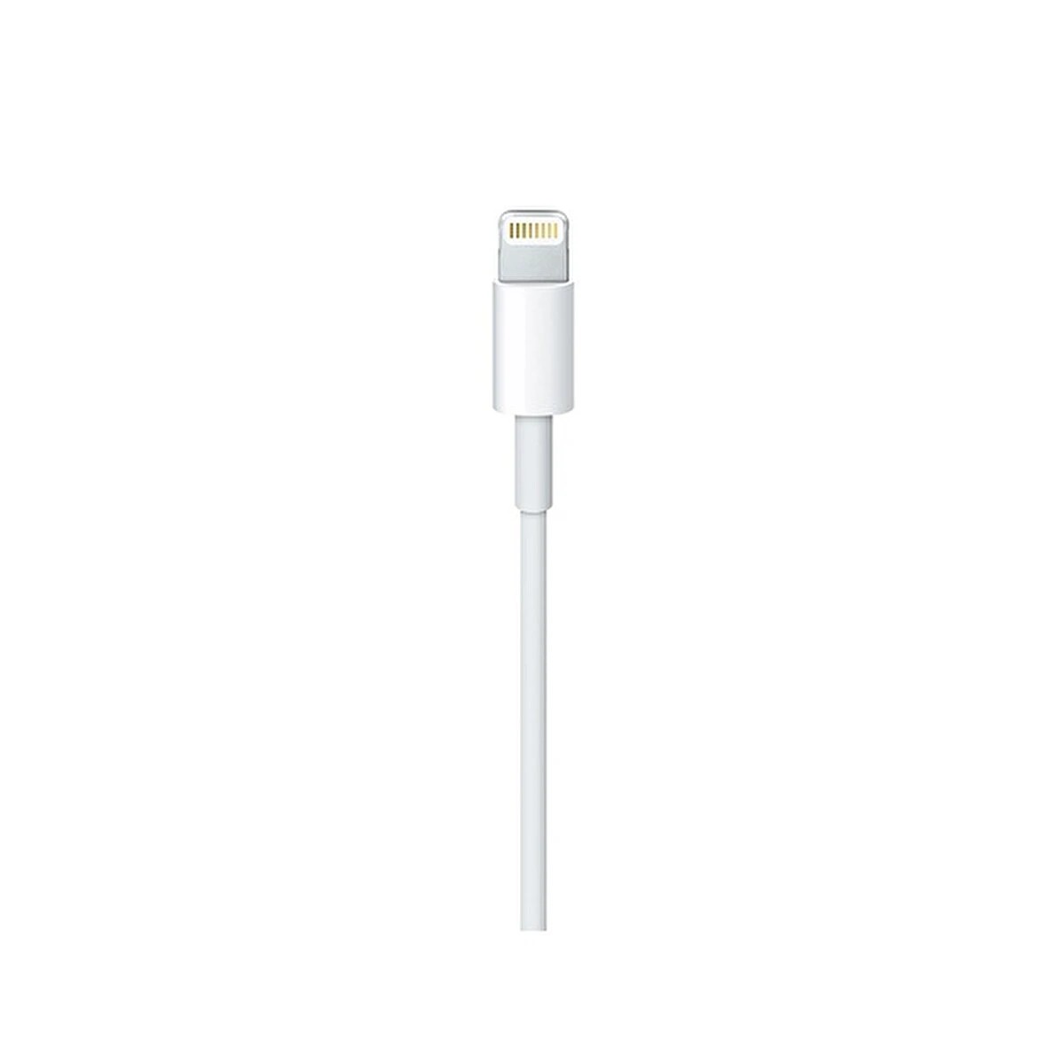 Apple MKQ42ZM/A 2M Lightning To Usb-C Kablosu