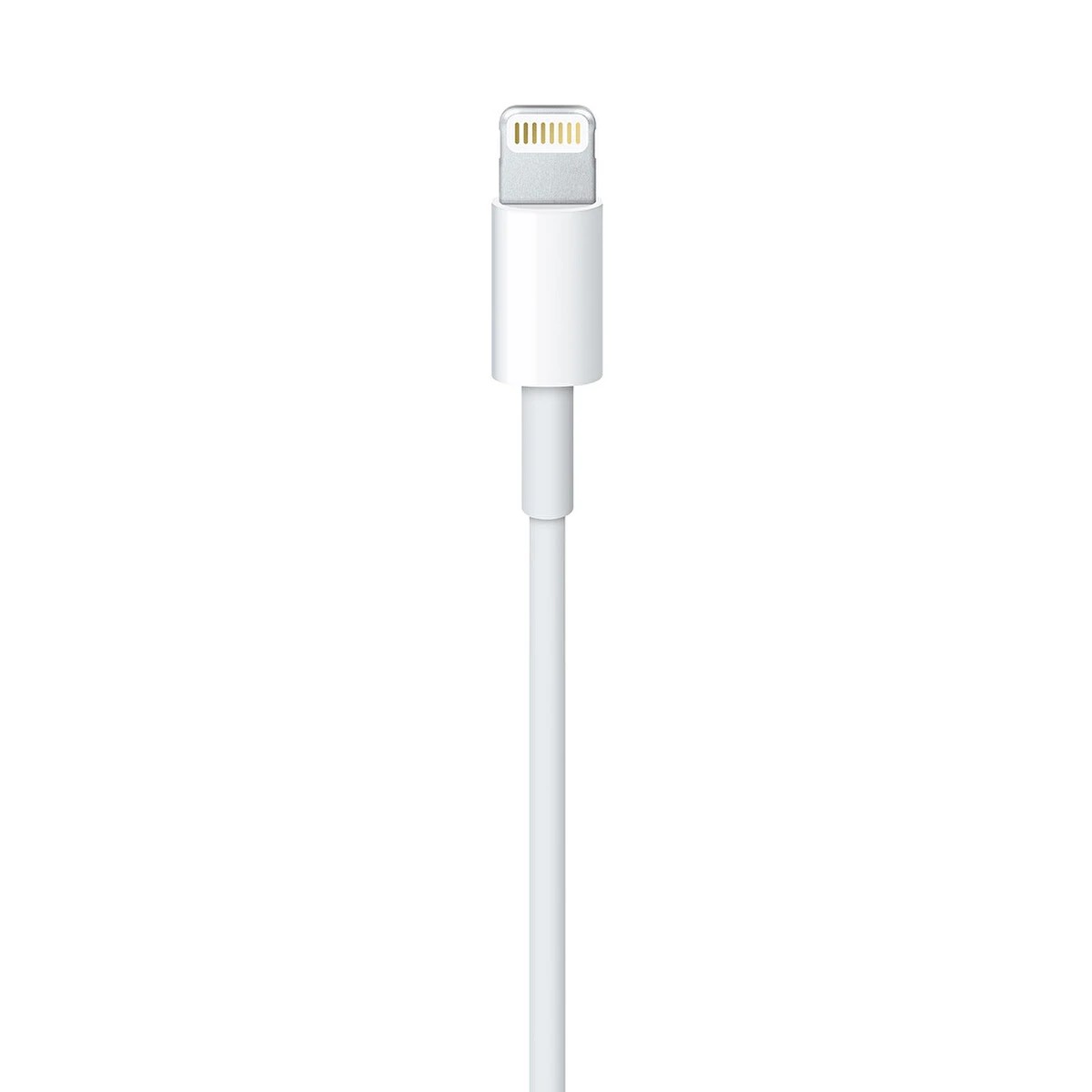 Apple MXLY2ZM/A Lightning USB Kablosu 1M