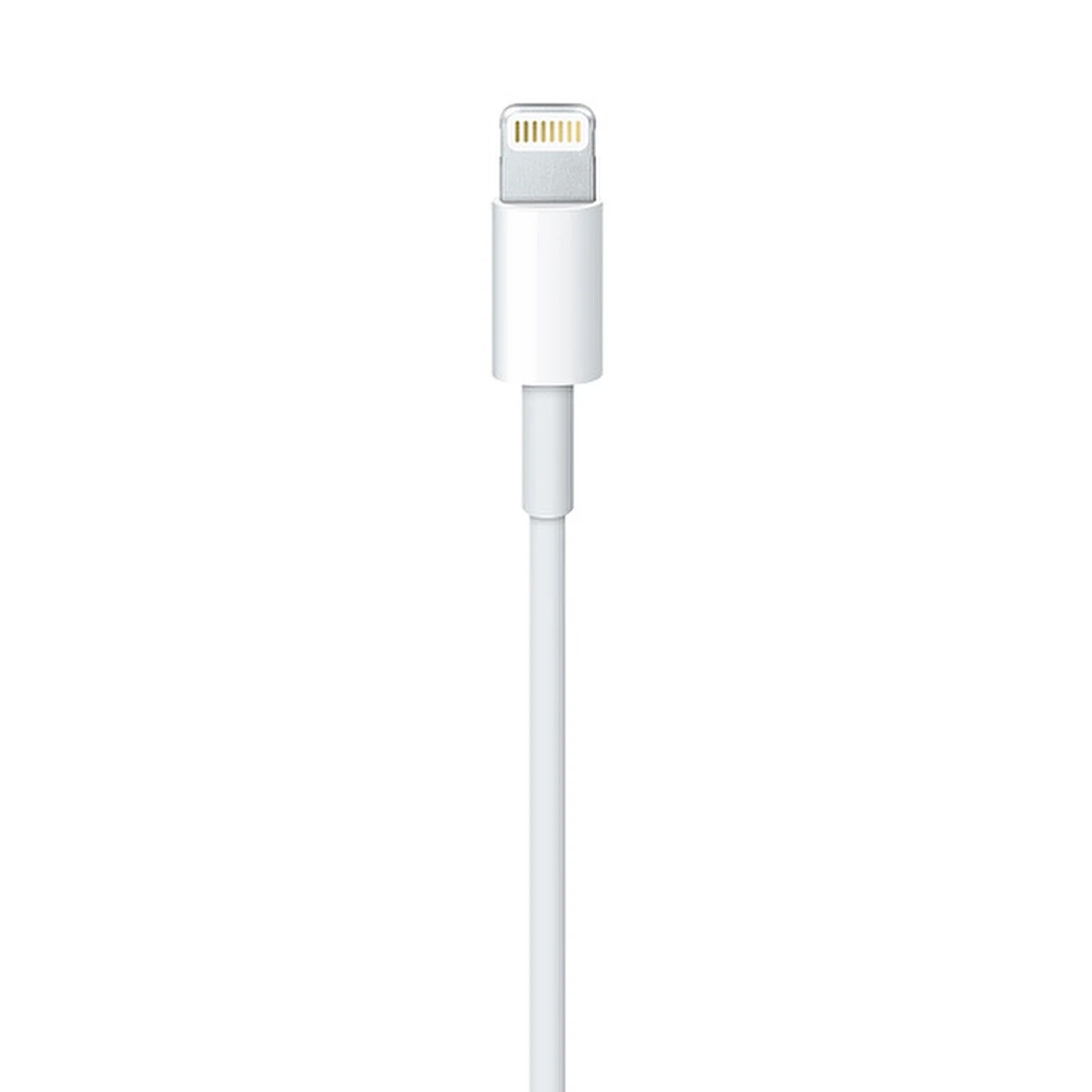 Apple MQUE2ZM/A 1M Lightning Usb Kablo