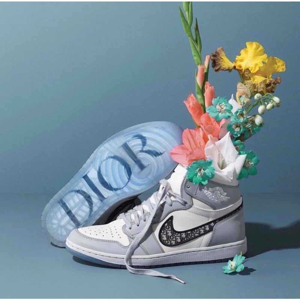 Air Jordan 1 High Dior Wolf Grey Sail