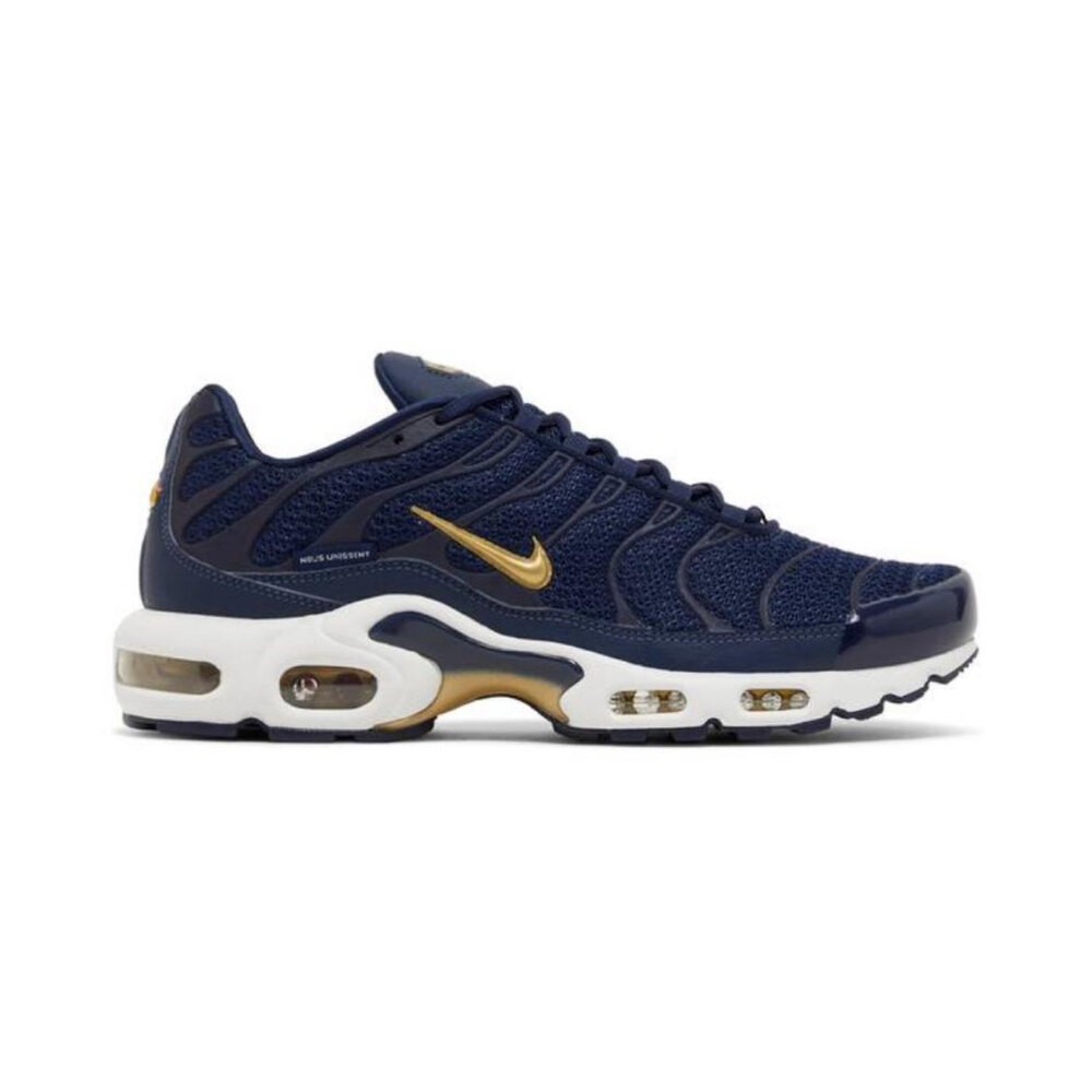 Nike Air Max TN Blue Gold