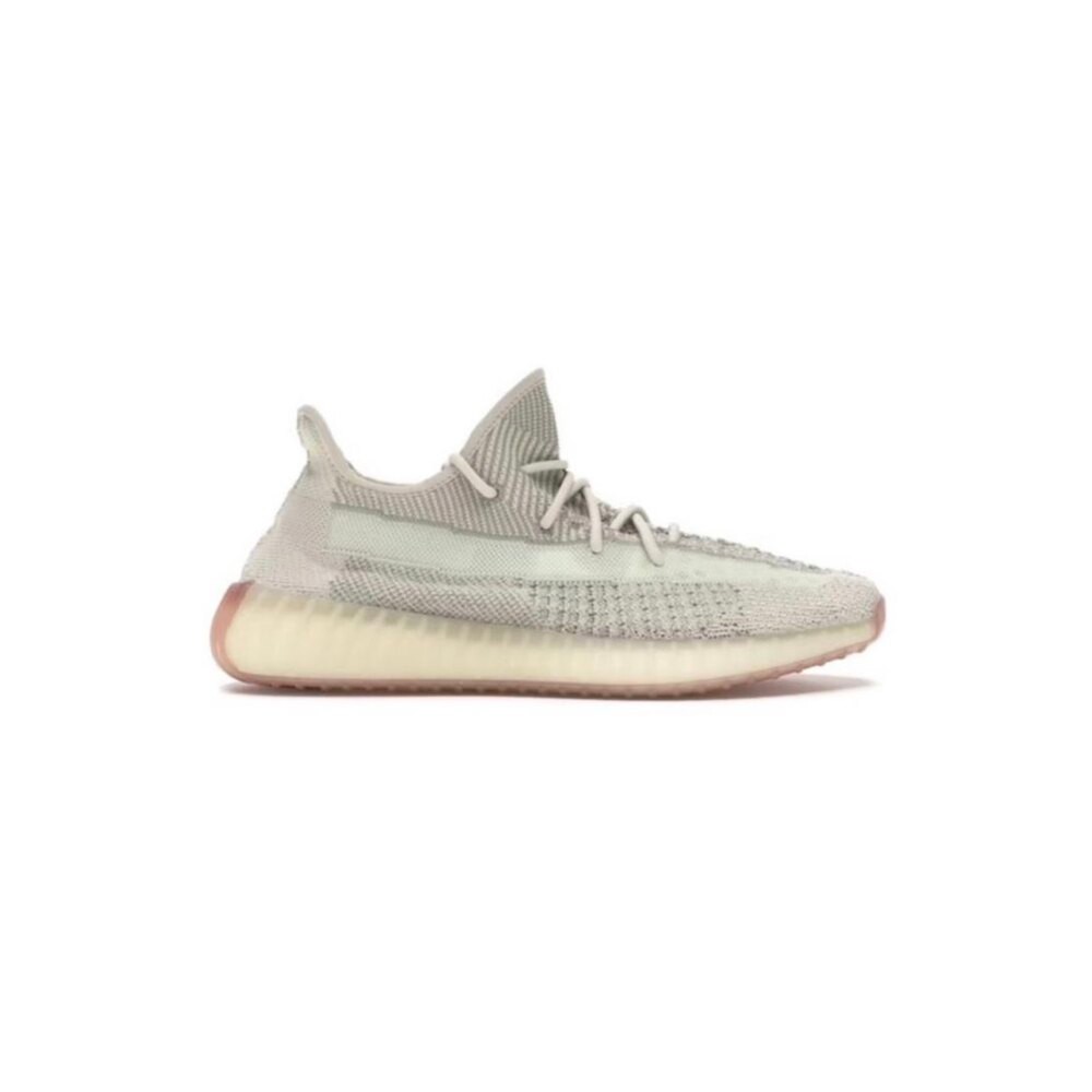 Adidas Yeezy 350