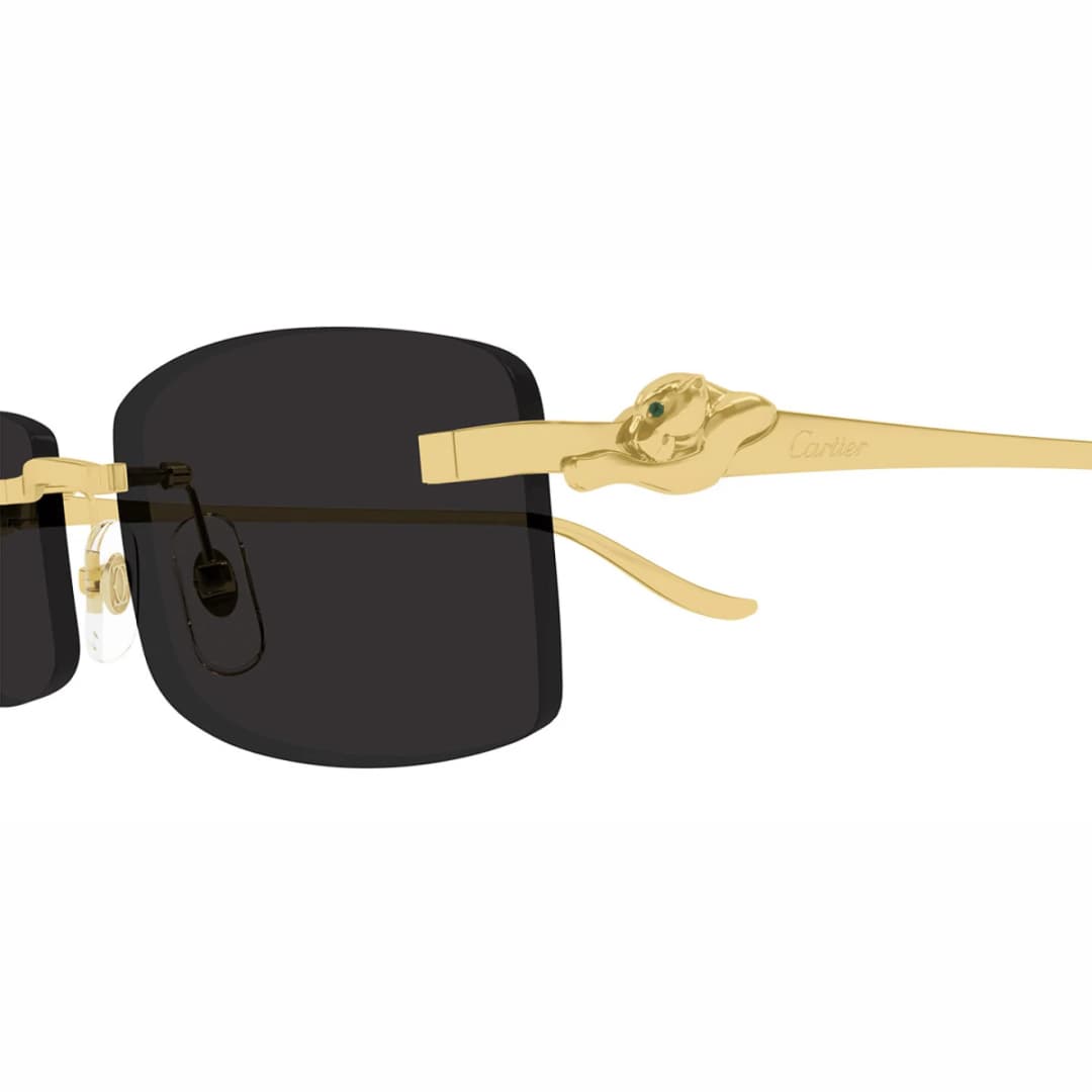 Cartier - CT0552S Black görsel 3
