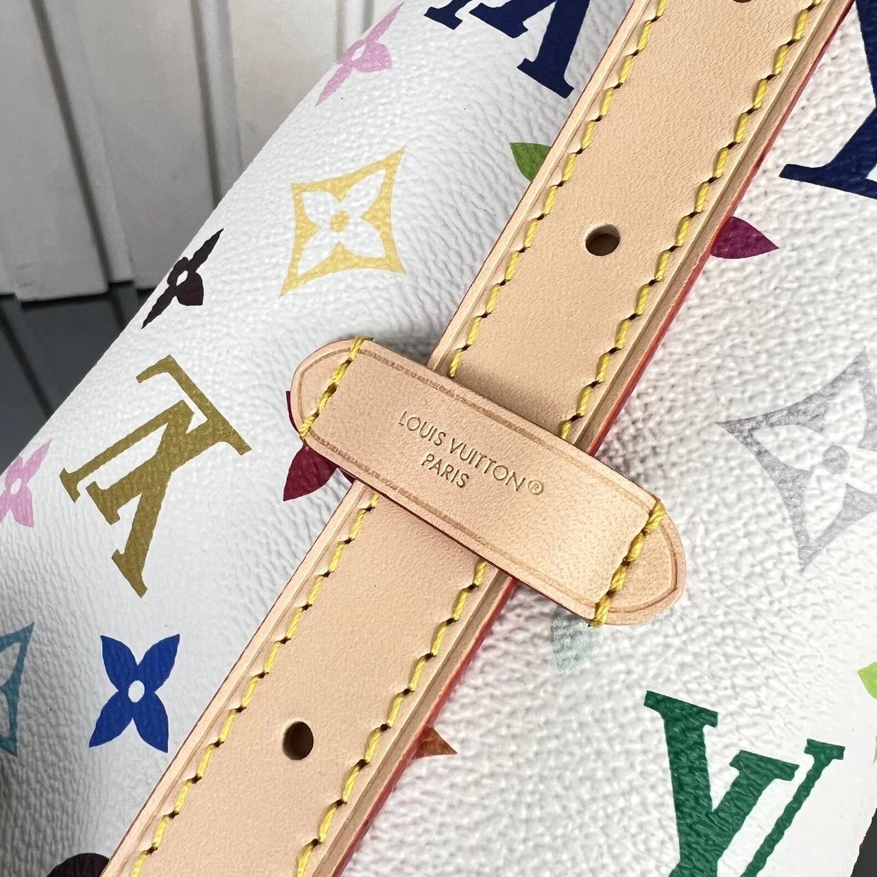 Louis Vuitton LV x TM CarryAll PM 