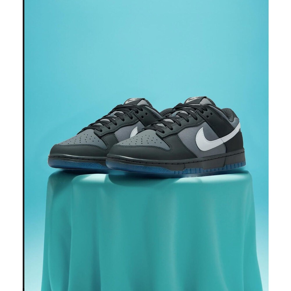Nike DUNK LOW ANTHRACITE