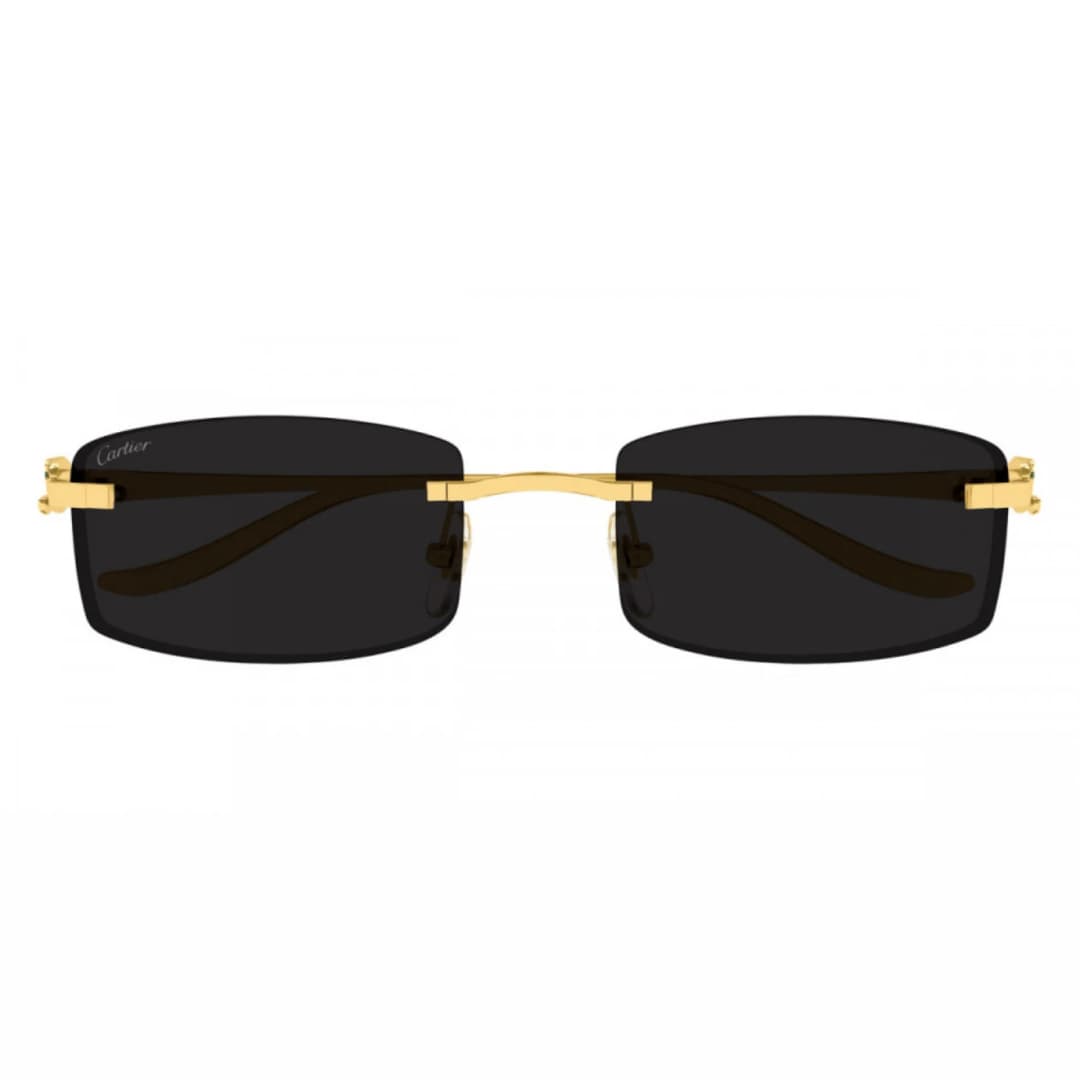Cartier - CT0552S Black görsel 2
