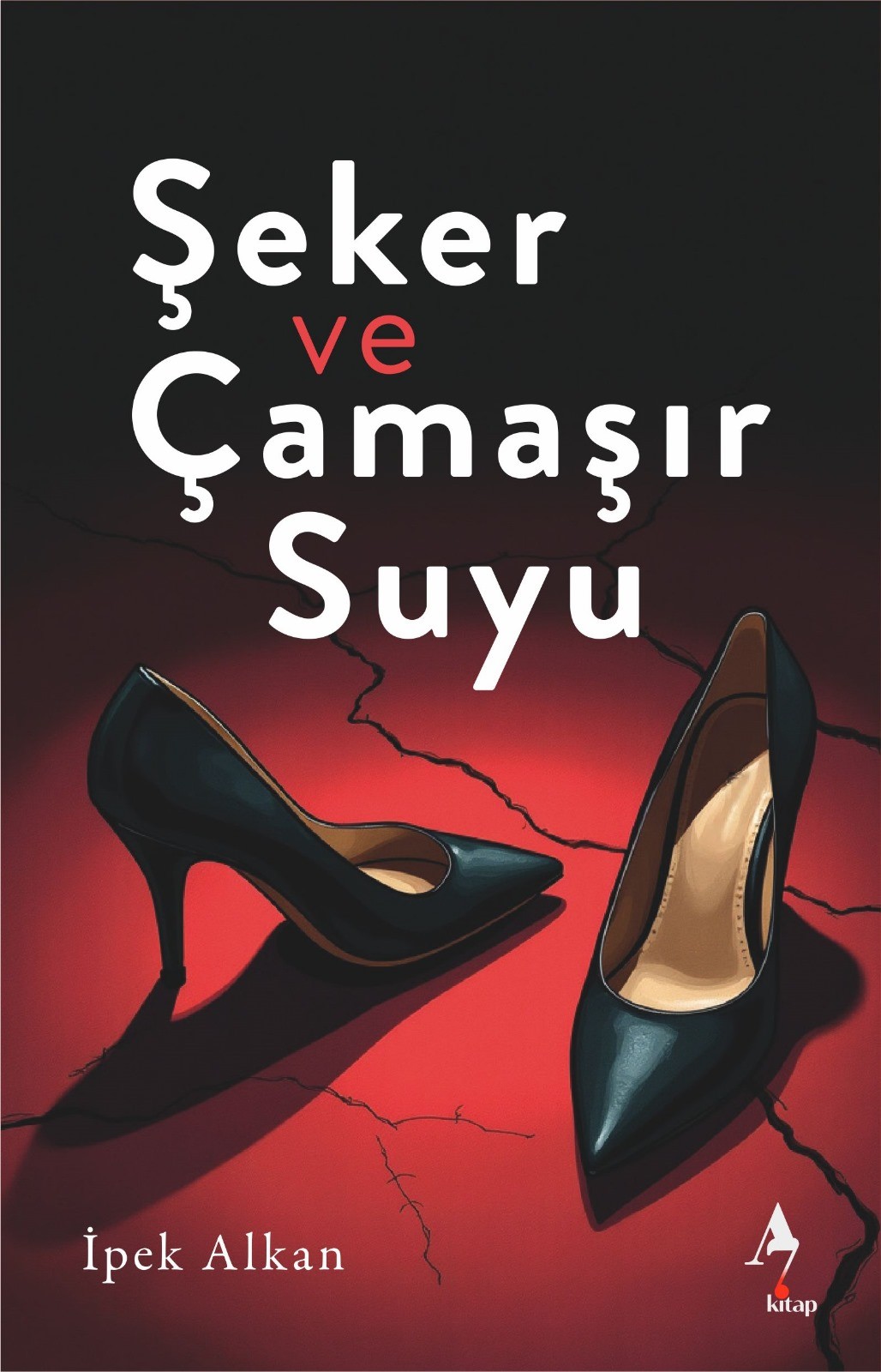 Şeker ve Çamaşır Suyu / Roman / İpek Alkan