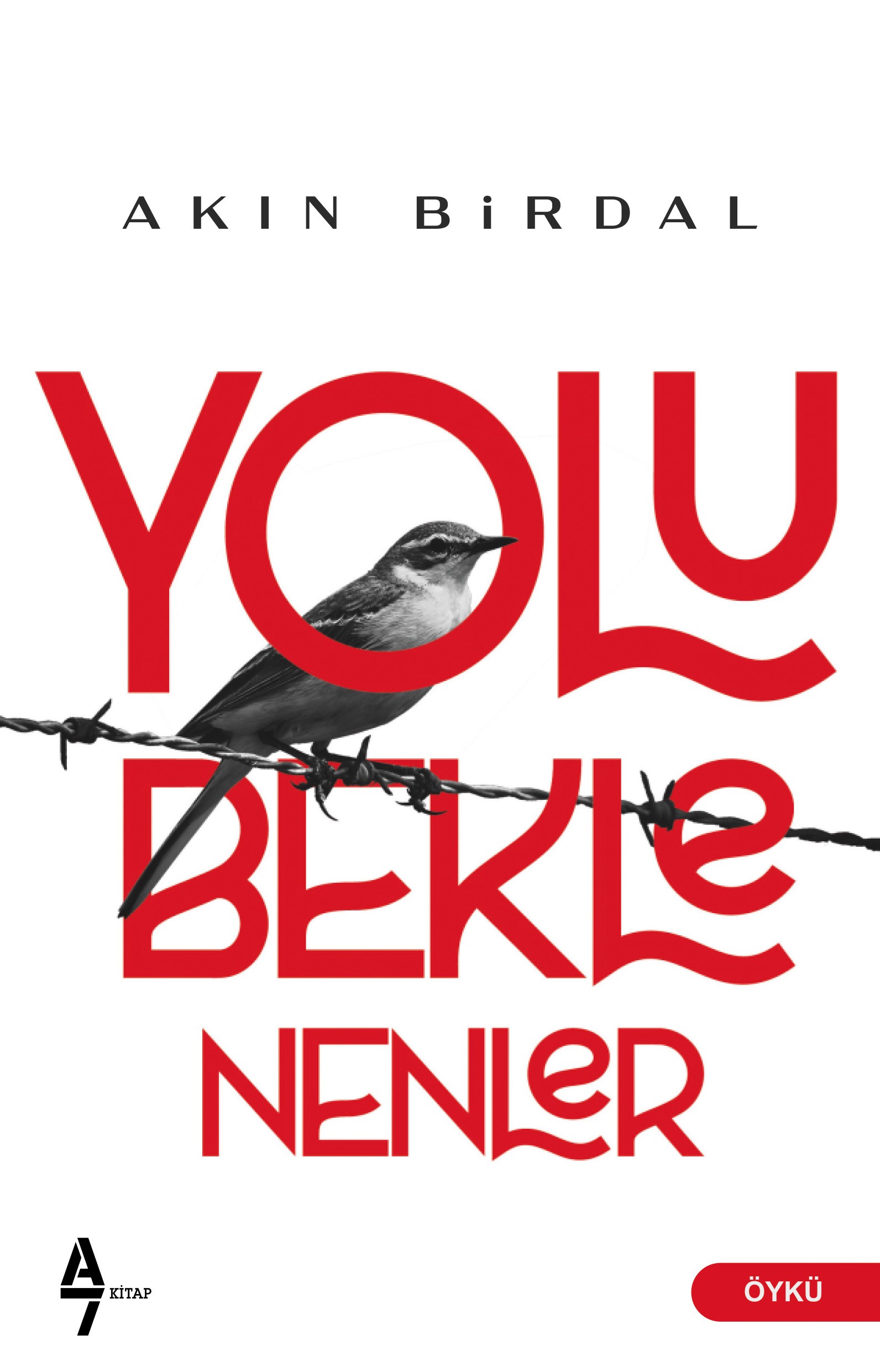 Yolu Beklenenler - Akın Birdal