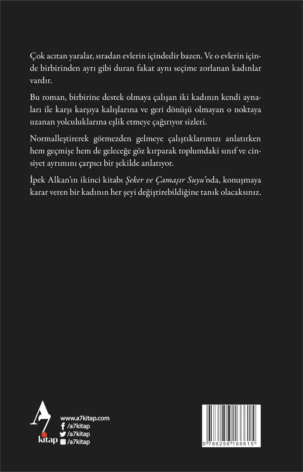 Şeker ve Çamaşır Suyu / Roman / İpek Alkan
