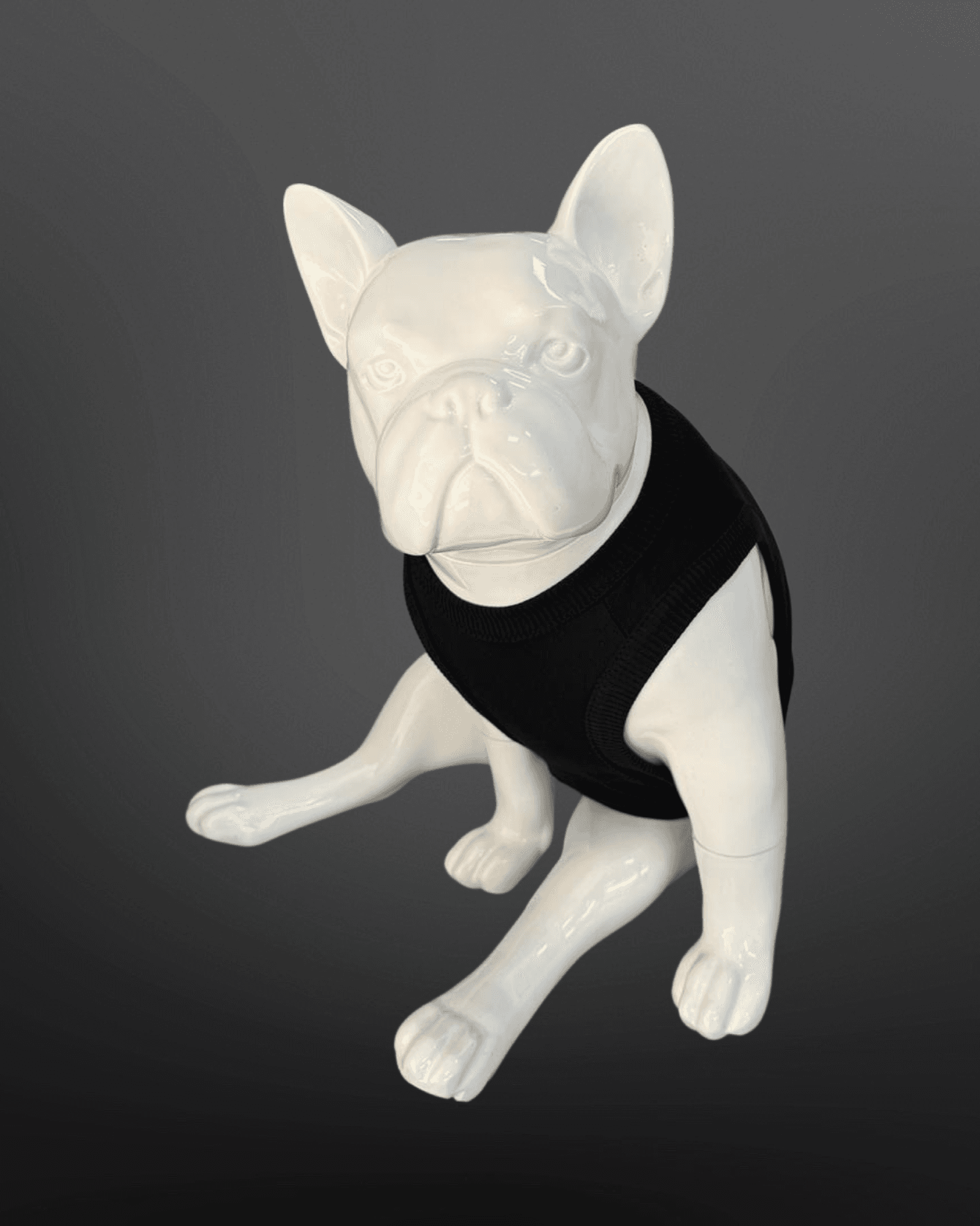 Kedi & Köpek Kıyafeti Atlet - Yaktın Beni Veto Baskılı Siyah Atlet