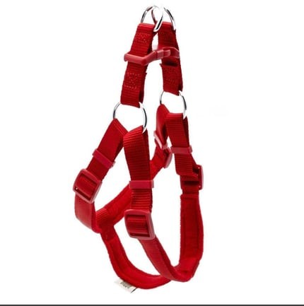 Polar Ronin Dokuma Göğüs Tasma 5x65 75 Cm - Kırmızı