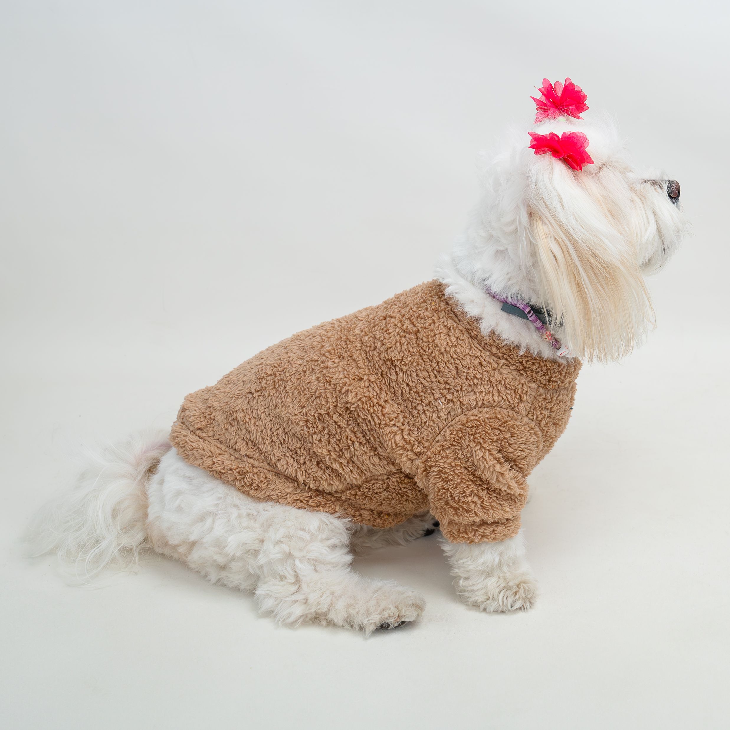 Kedi & Köpek Kıyafeti - Kahverengi Bisiklet Yaka Peluş Sweatshirt