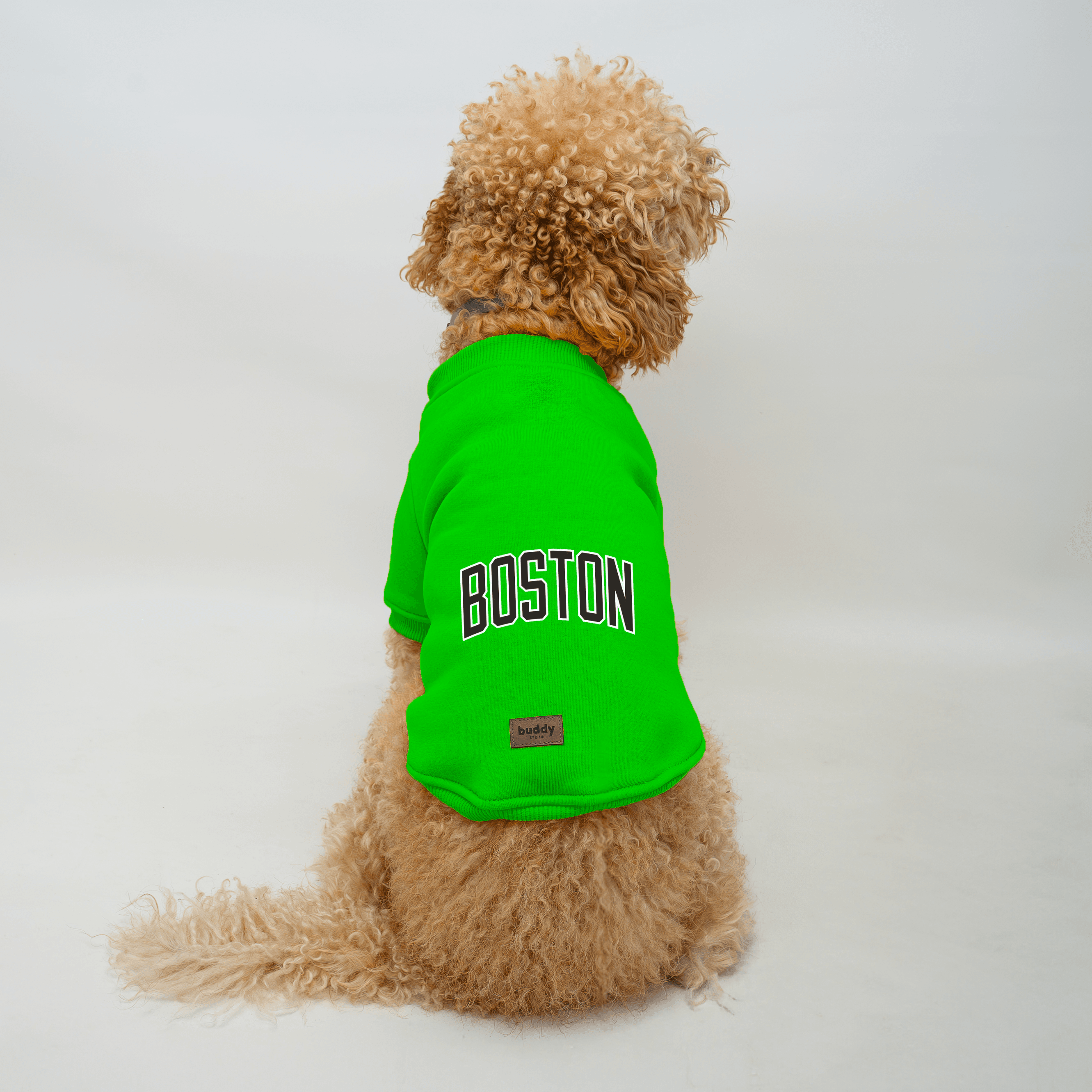 Yeşil Kapüşonsuz Sweatshirt B2B (5'li Set) XS-S-M-L-XL - Boston