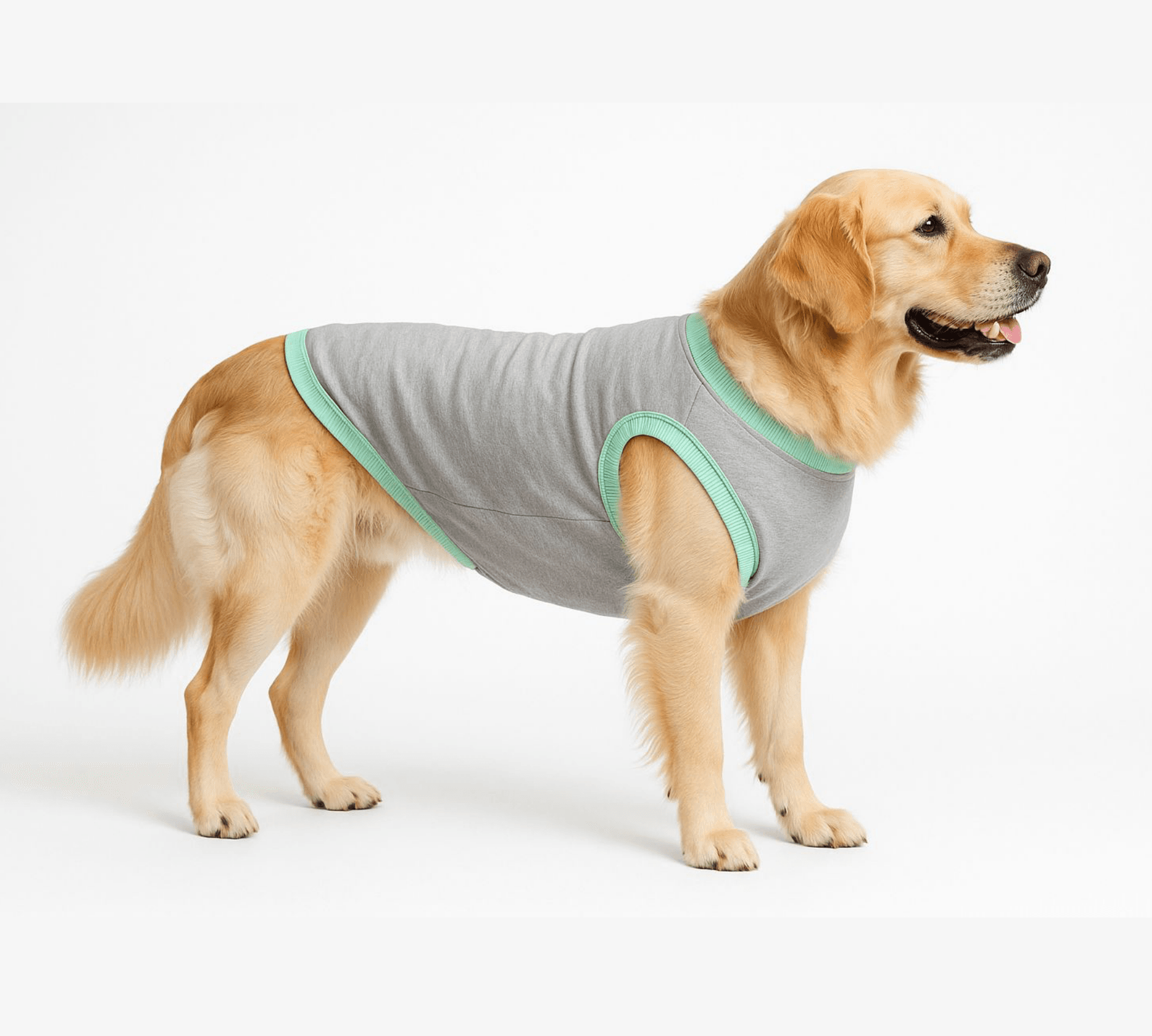 Büyük Irk Köpek Kıyafeti Konfor ve Rahat Kalıp Atlet - (18 - 50 KG) - Gri image
