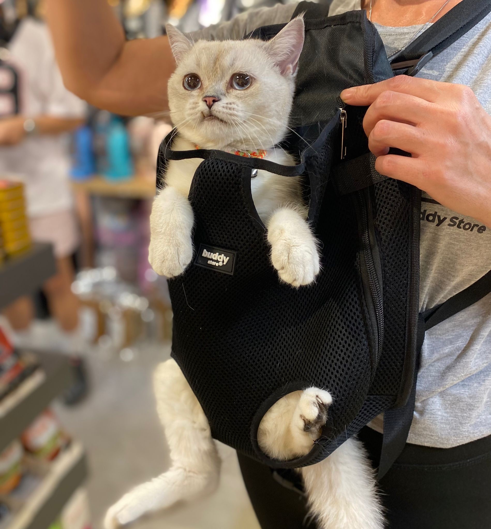 Anakucağı - Kedi ve Köpekler için Kanguru Model