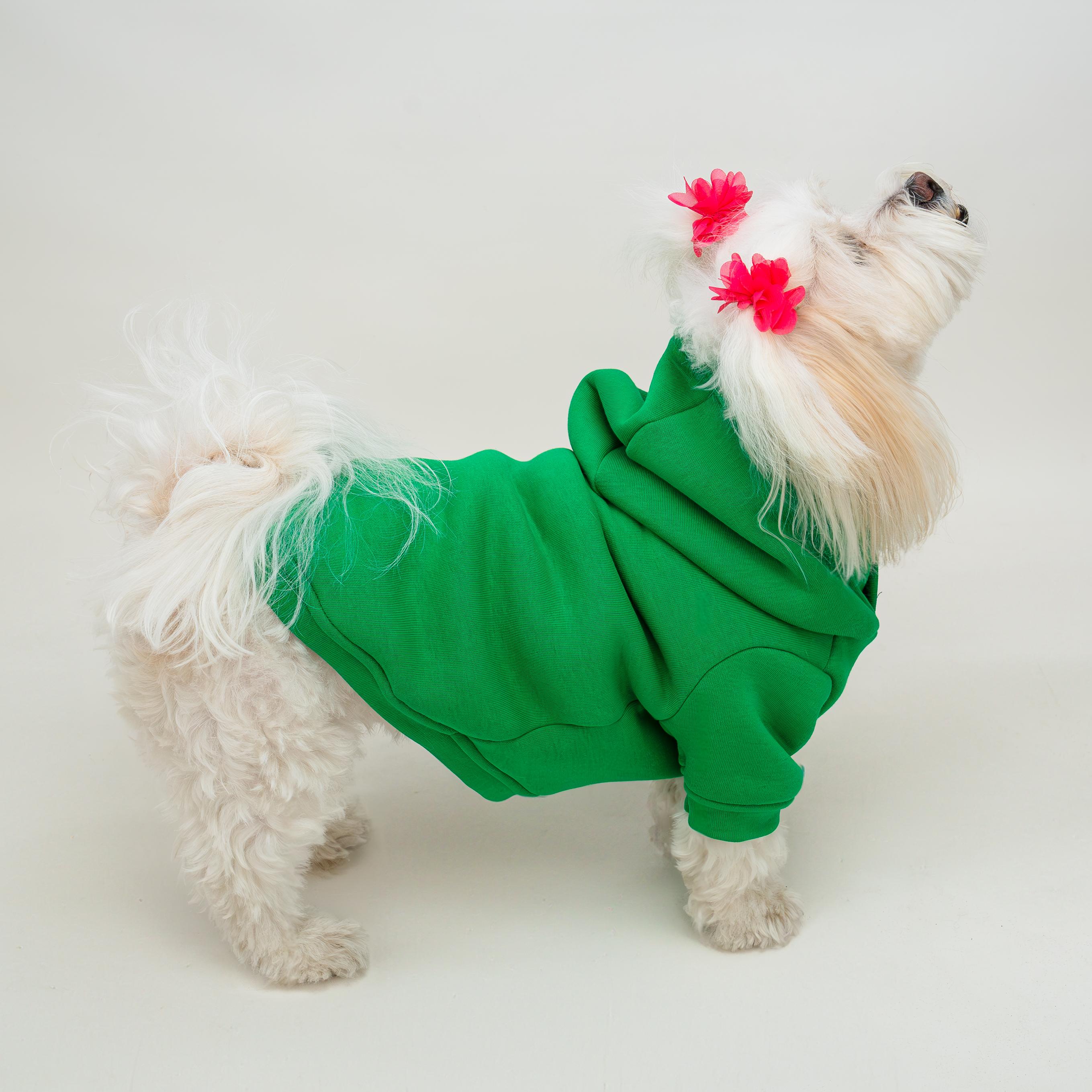 Kedi & Köpek Kıyafeti - Yeşil Baskısız Model Sweatshirt Hoodie