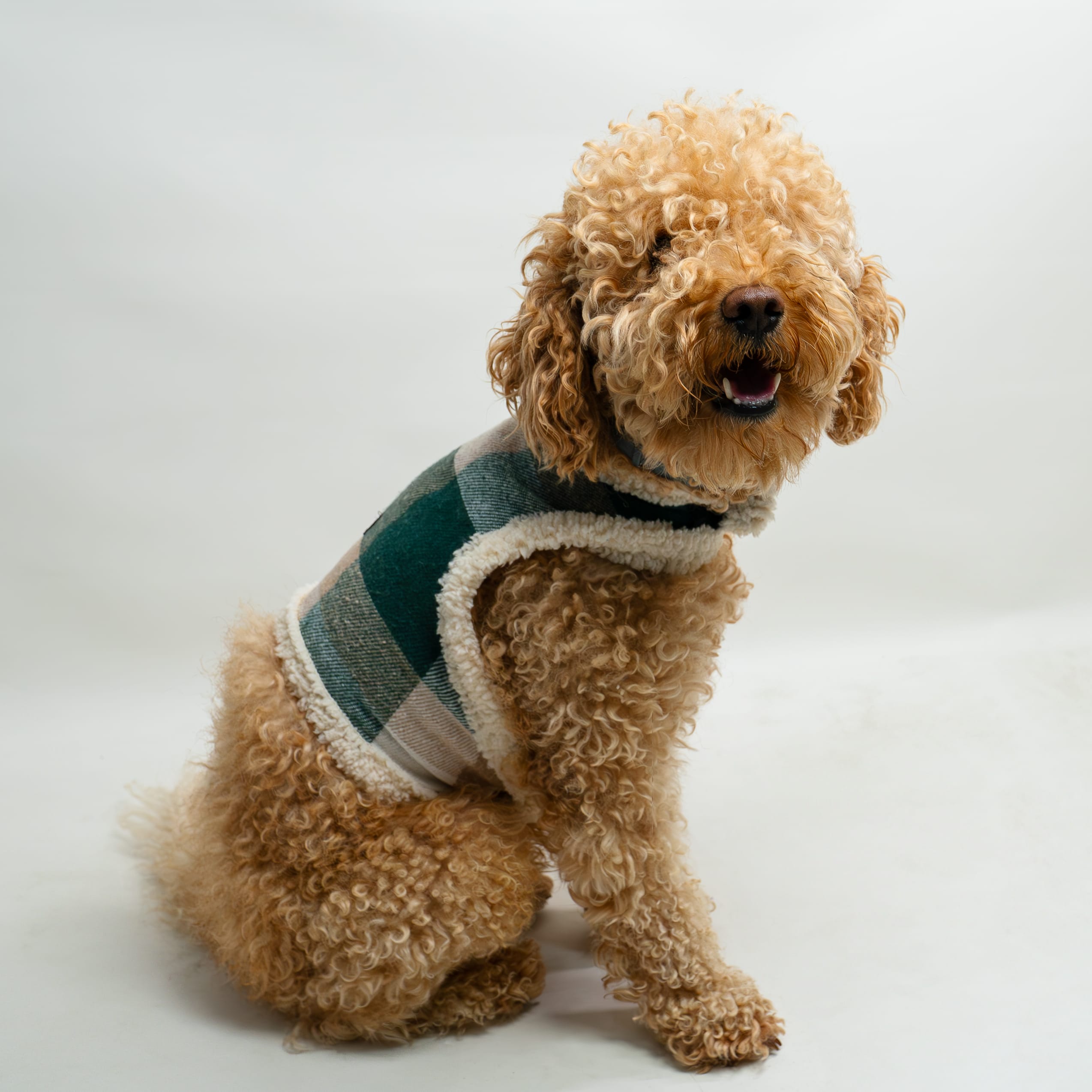 Kedi & Köpekler için Oduncu Yeleği (Çevresi Peluş) main variant image