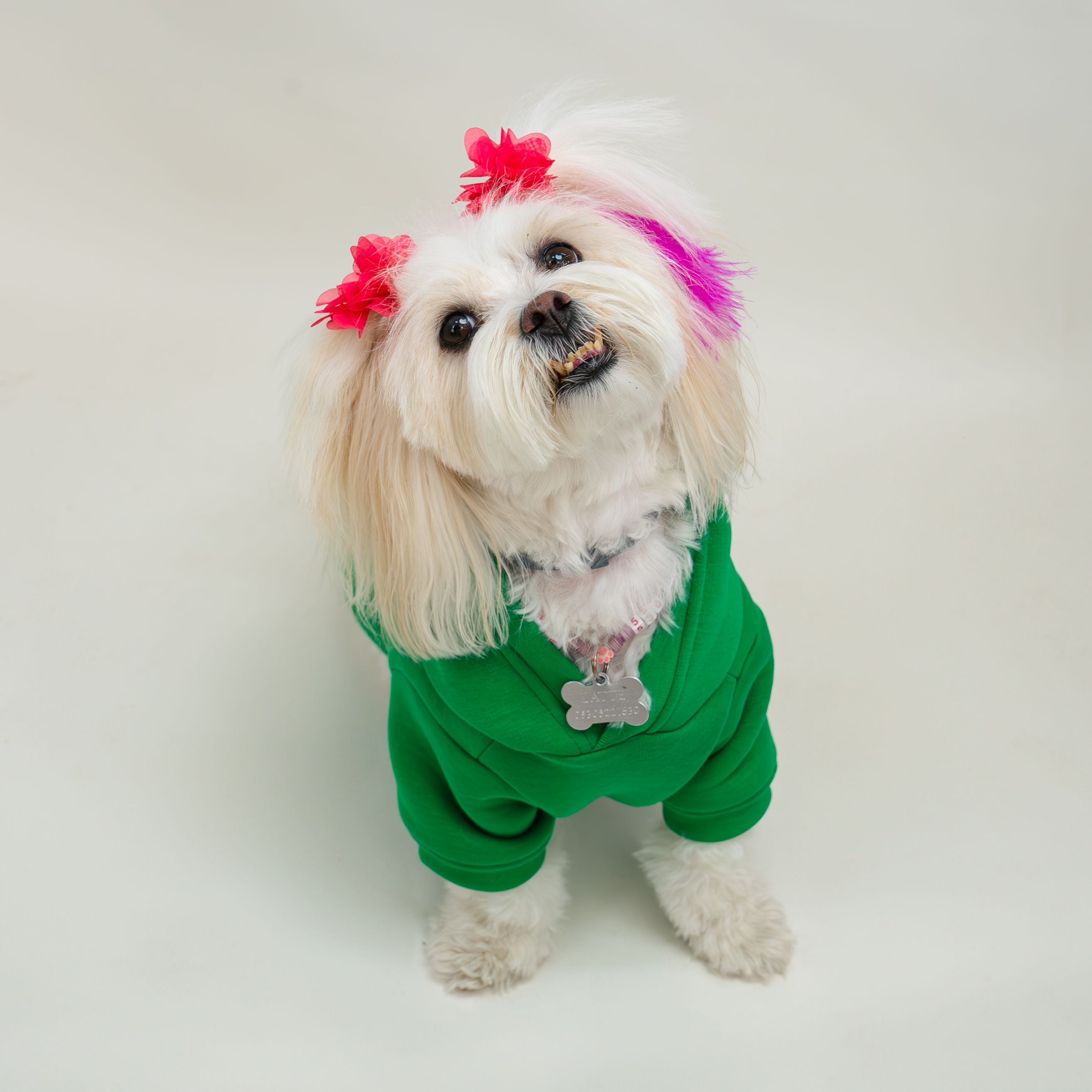 Kedi & Köpek Kıyafeti - Yeşil Baskısız Model Sweatshirt Hoodie