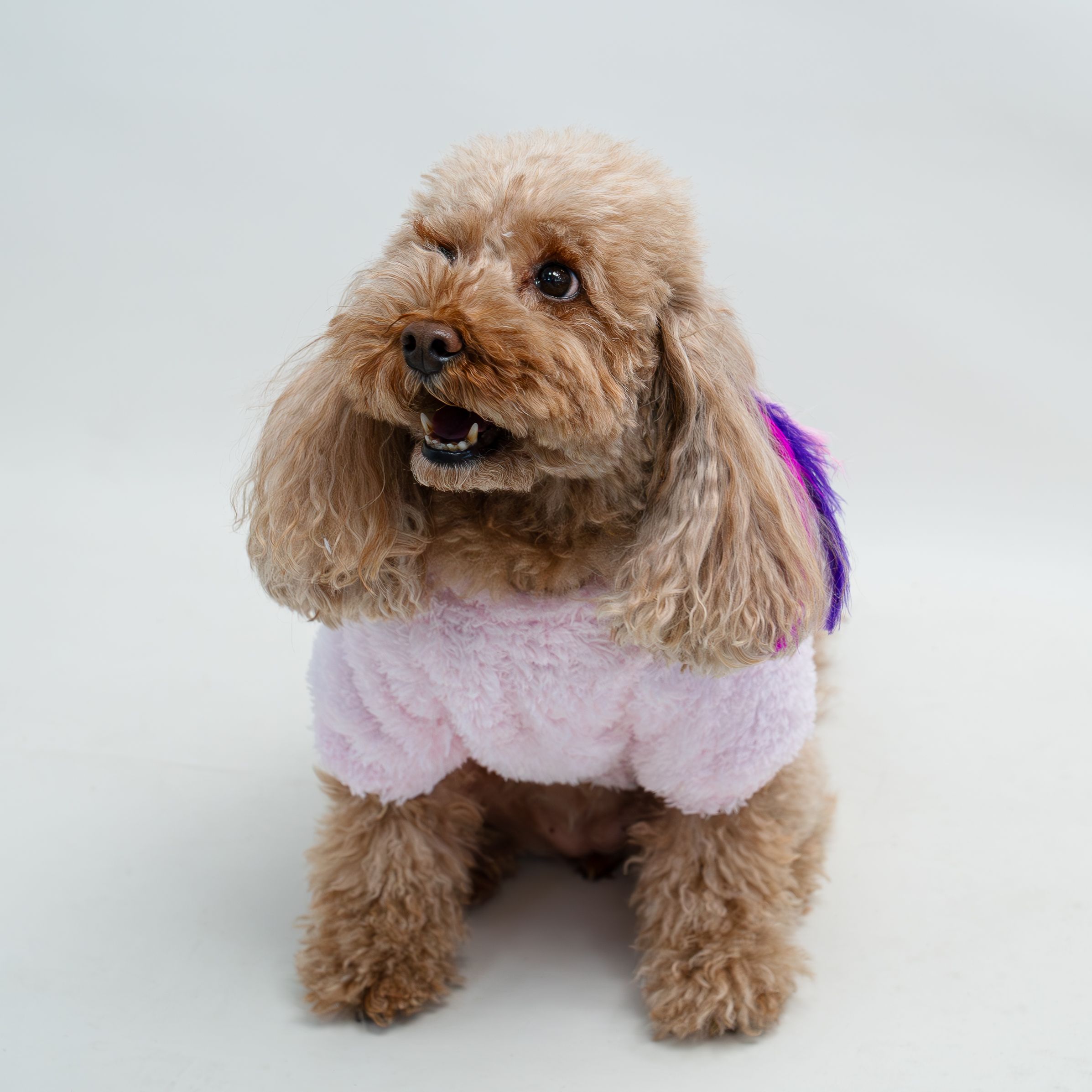 Kedi & Köpek Kıyafeti - Pembe Bisiklet Yaka Peluş Sweatshirt